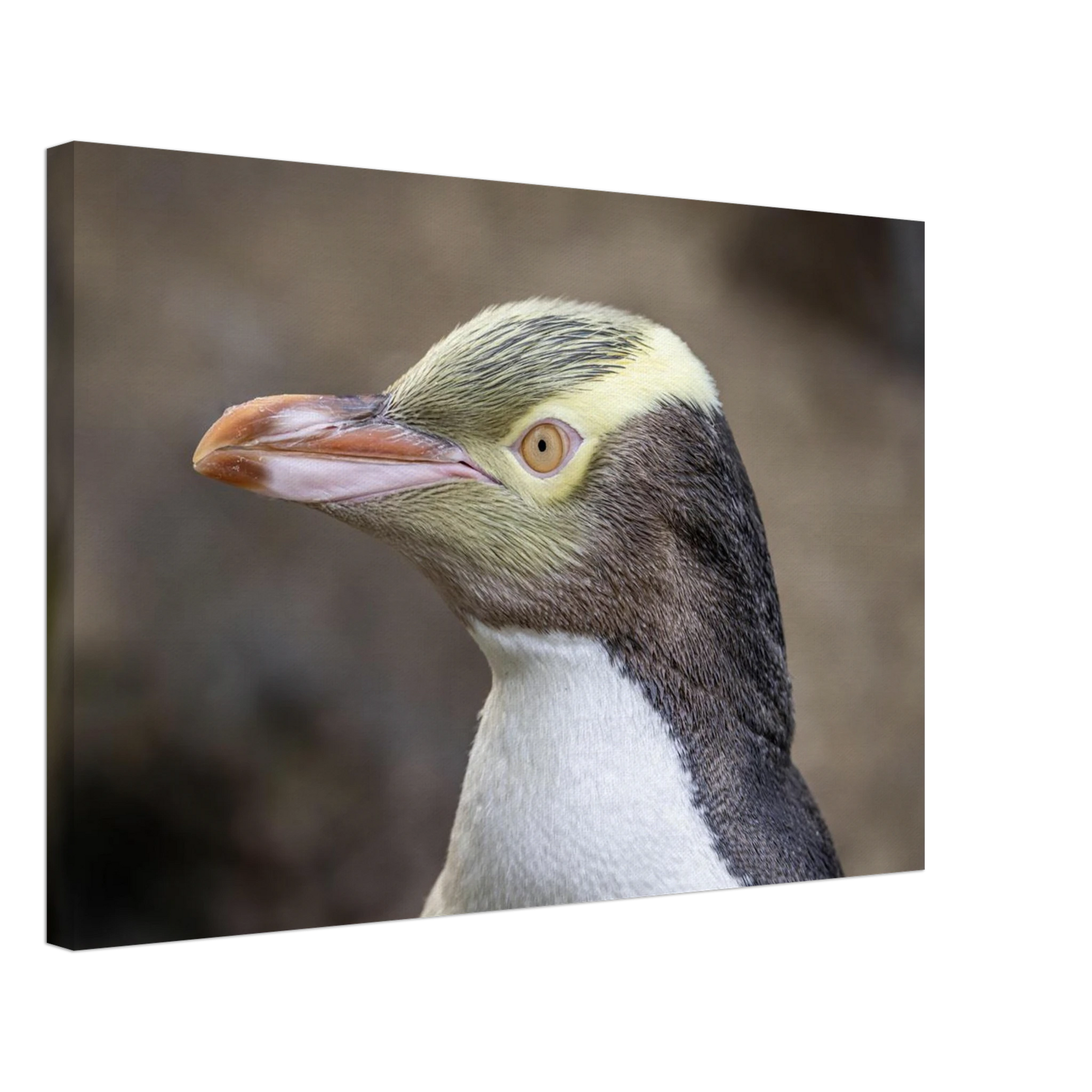 94e49d72-7cc6-4496-8ab7-a9e35018ebbf