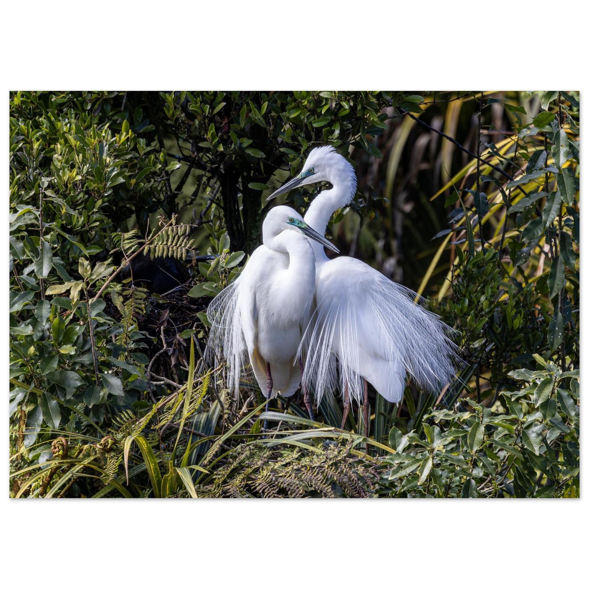 9619951d-c996-4a82-bcd7-7bbd7c7e3348