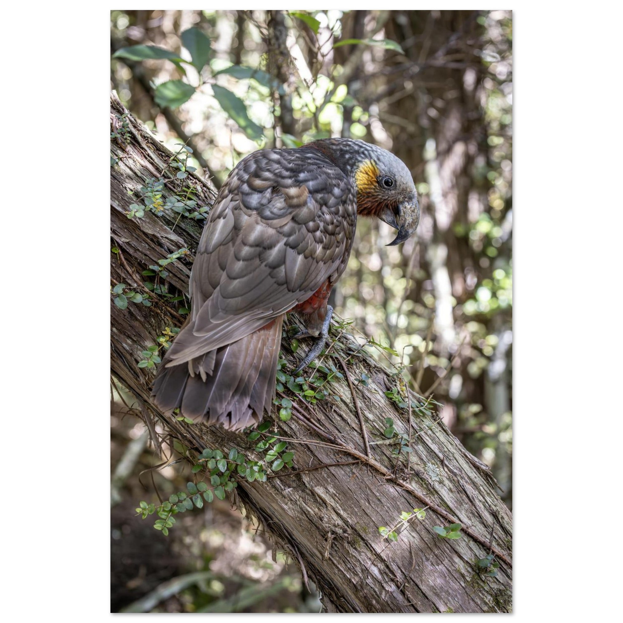 969e6a24-f8e0-4749-a995-d962e3578b12