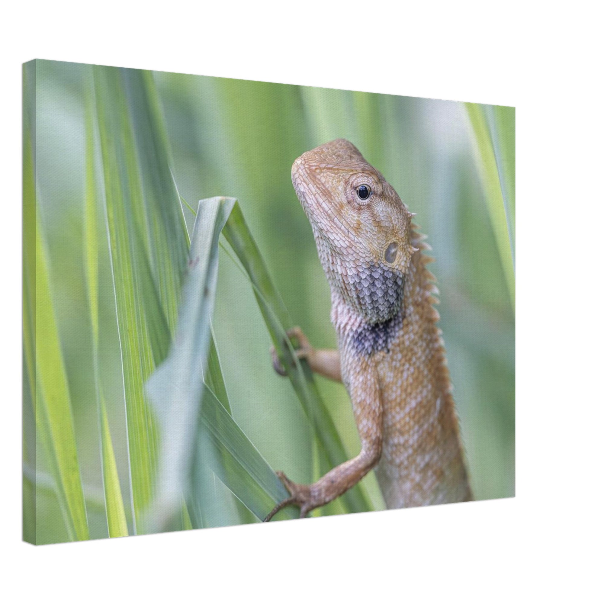 97098456-0cea-407c-ab46-3e1406490d86