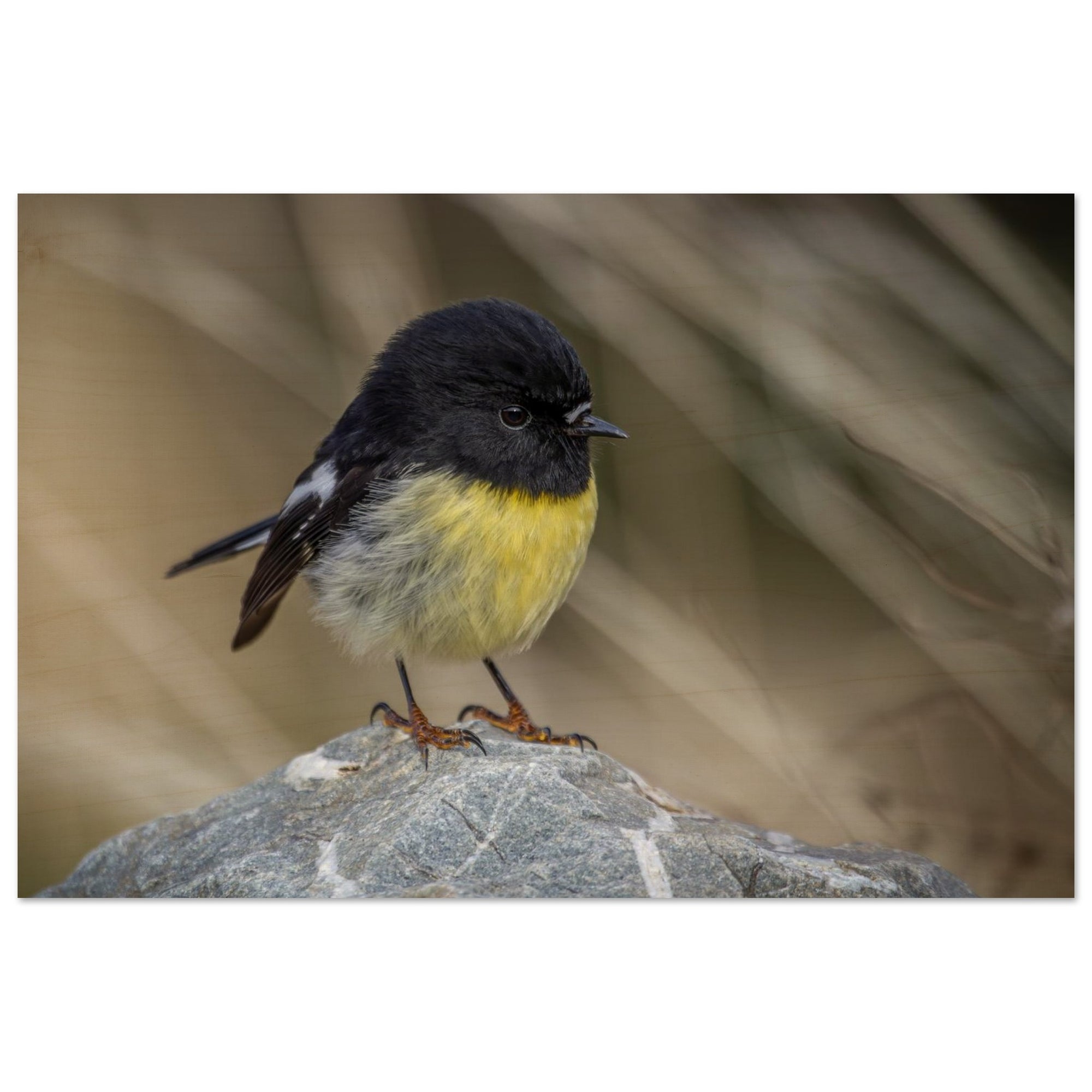 9c9217b5-690b-4434-9b2f-8b0998cd2e48