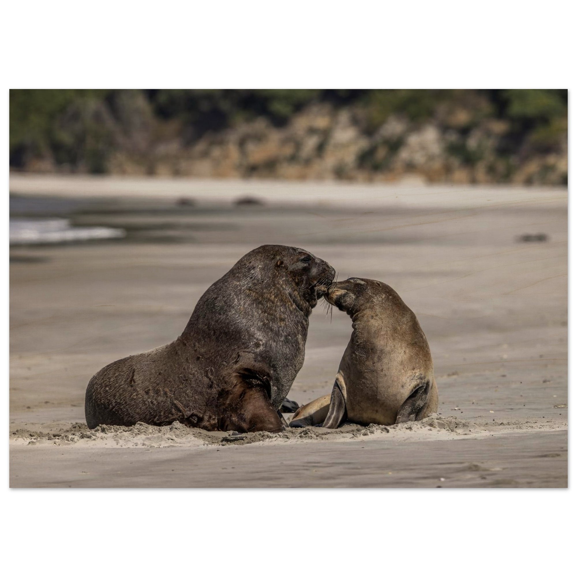 a19cc8c8-3709-4a8b-bcdb-8b958823ce06