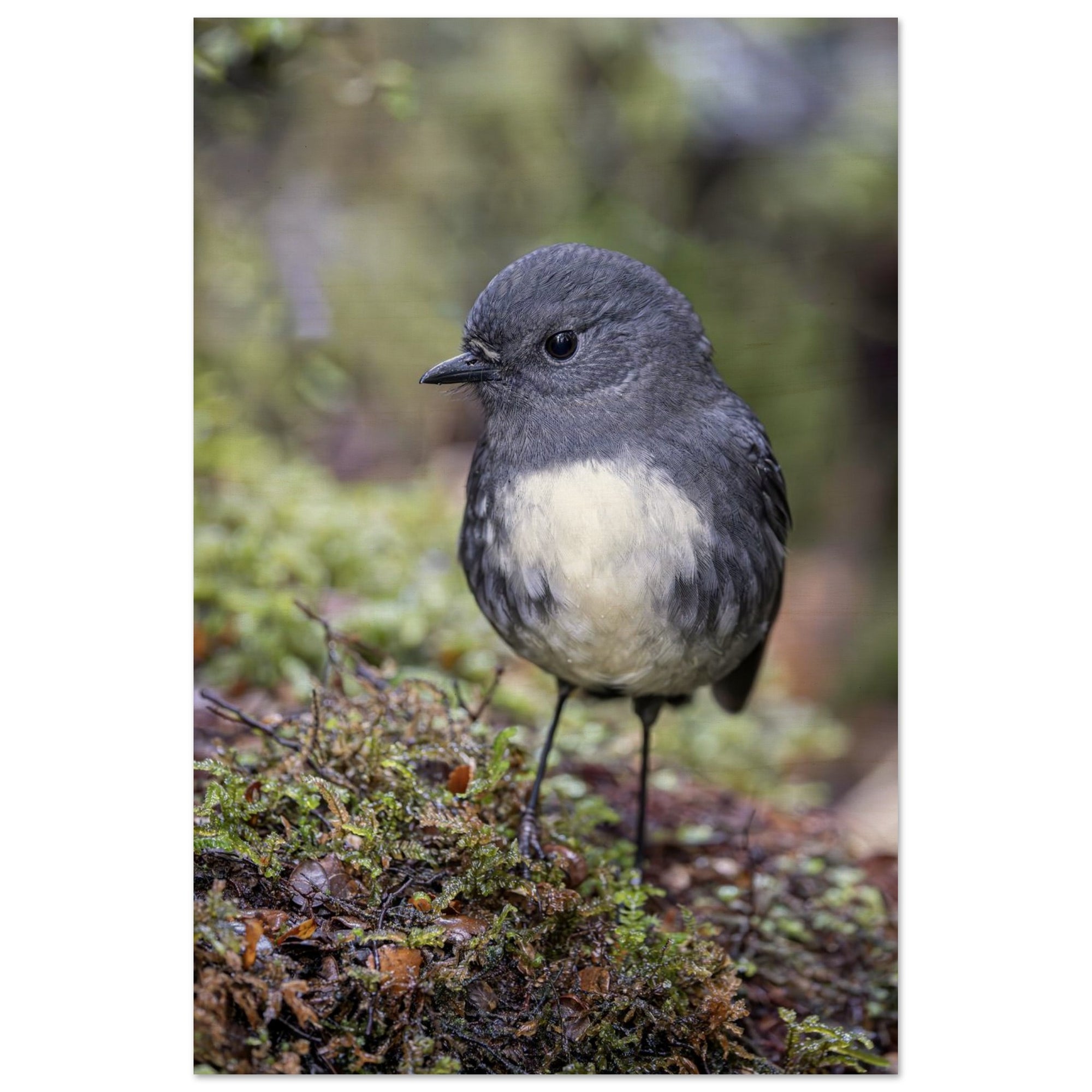 a47602f5-ebb5-4df2-83fd-d9b730993242