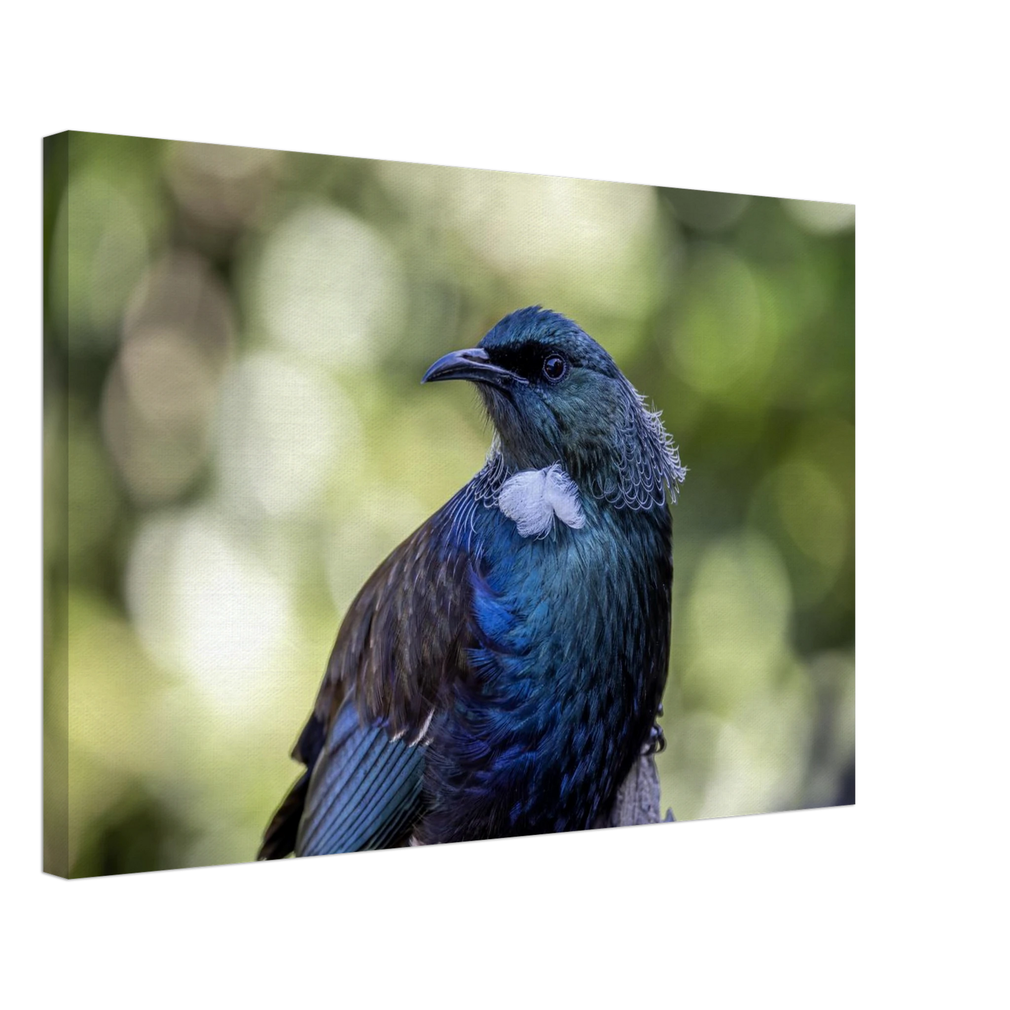 a705b69b-71c3-4389-90ae-c9a33550059f