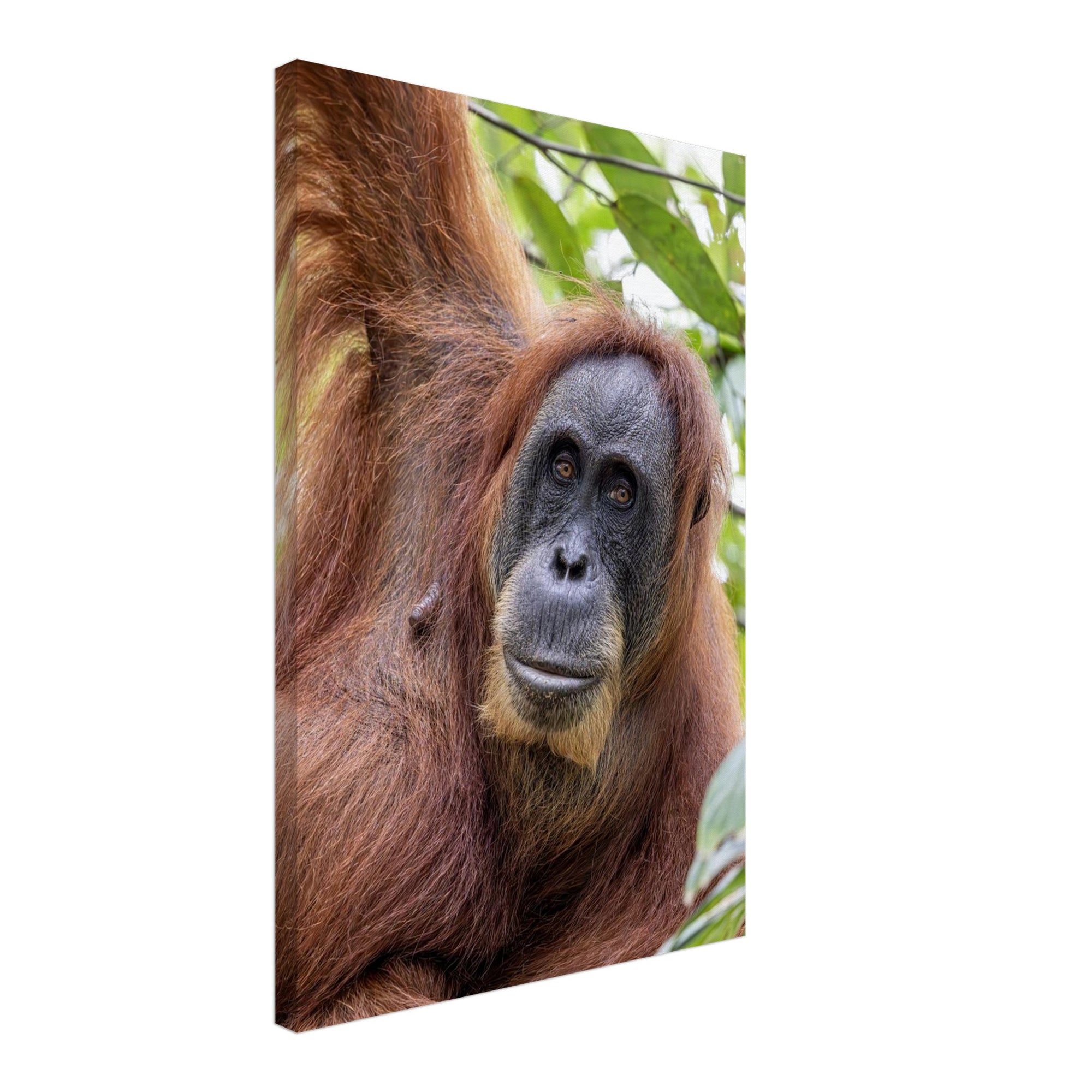 a7abb5ce-a3ef-416d-a086-41c580bd5837