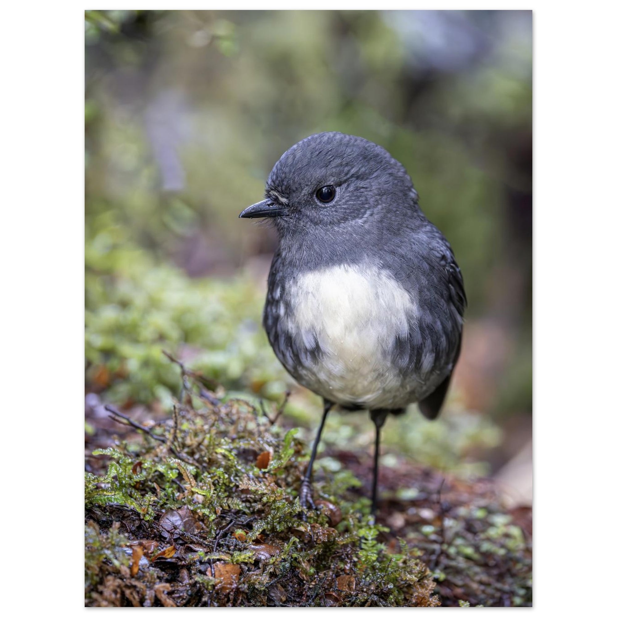 a7fbb698-b924-43d8-92e8-ed99845cba9a