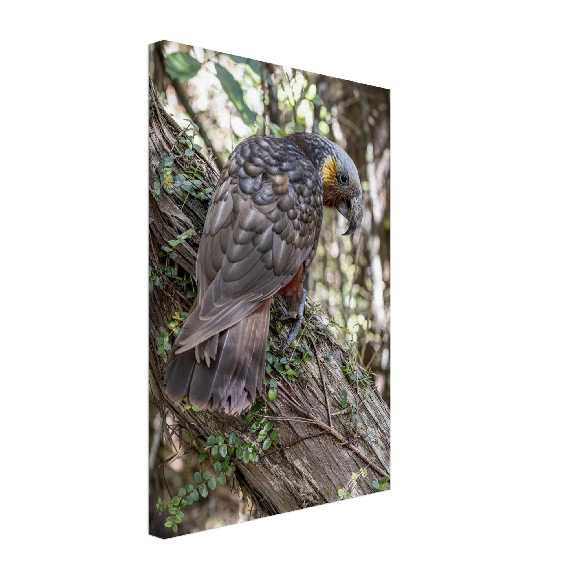 a8e4fd0f-82de-4d26-88e6-74c0a3d8481f