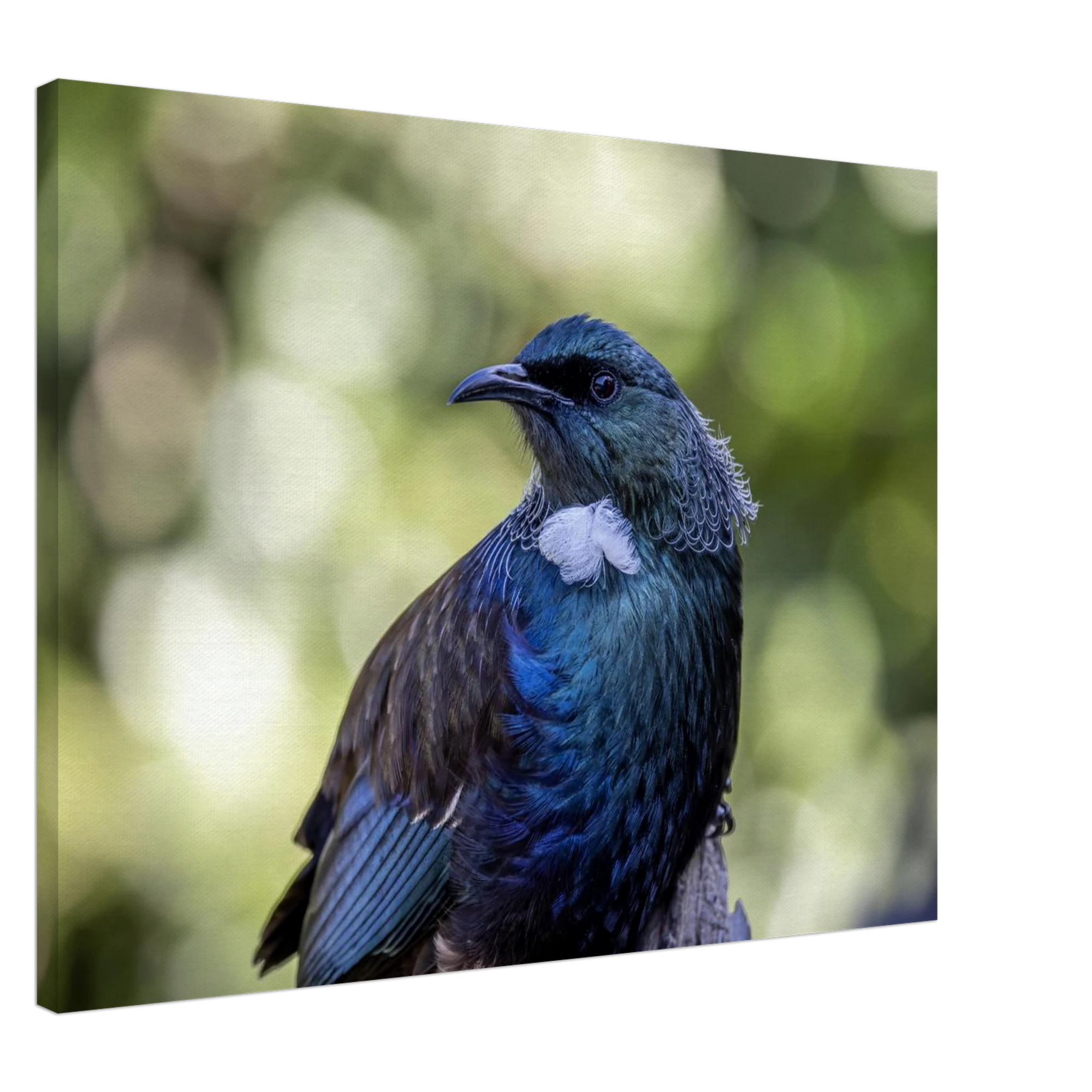 a920024b-de48-4e72-a037-07e9dac01da9