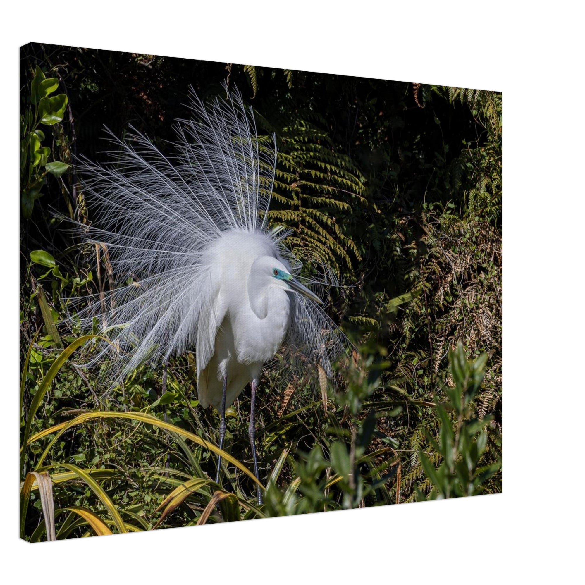 ab3649b9-5106-45d4-95b5-de175fae6702