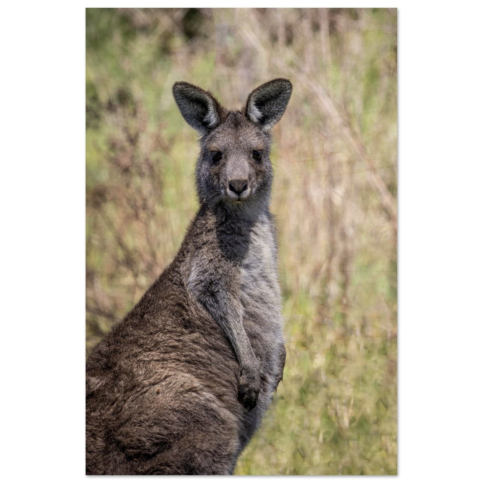 ab5e41b9-267e-4a9e-99f0-a2148bbff82b