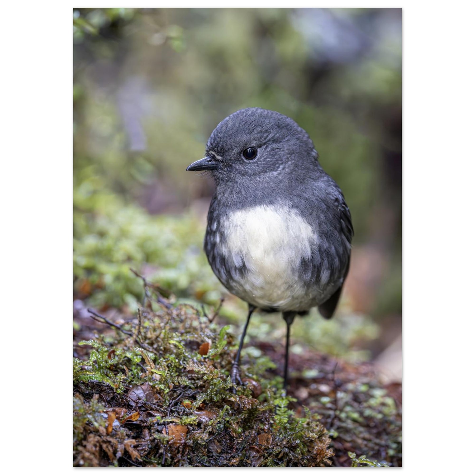 b3410b1e-e01c-48d8-a582-e0a9021ed382