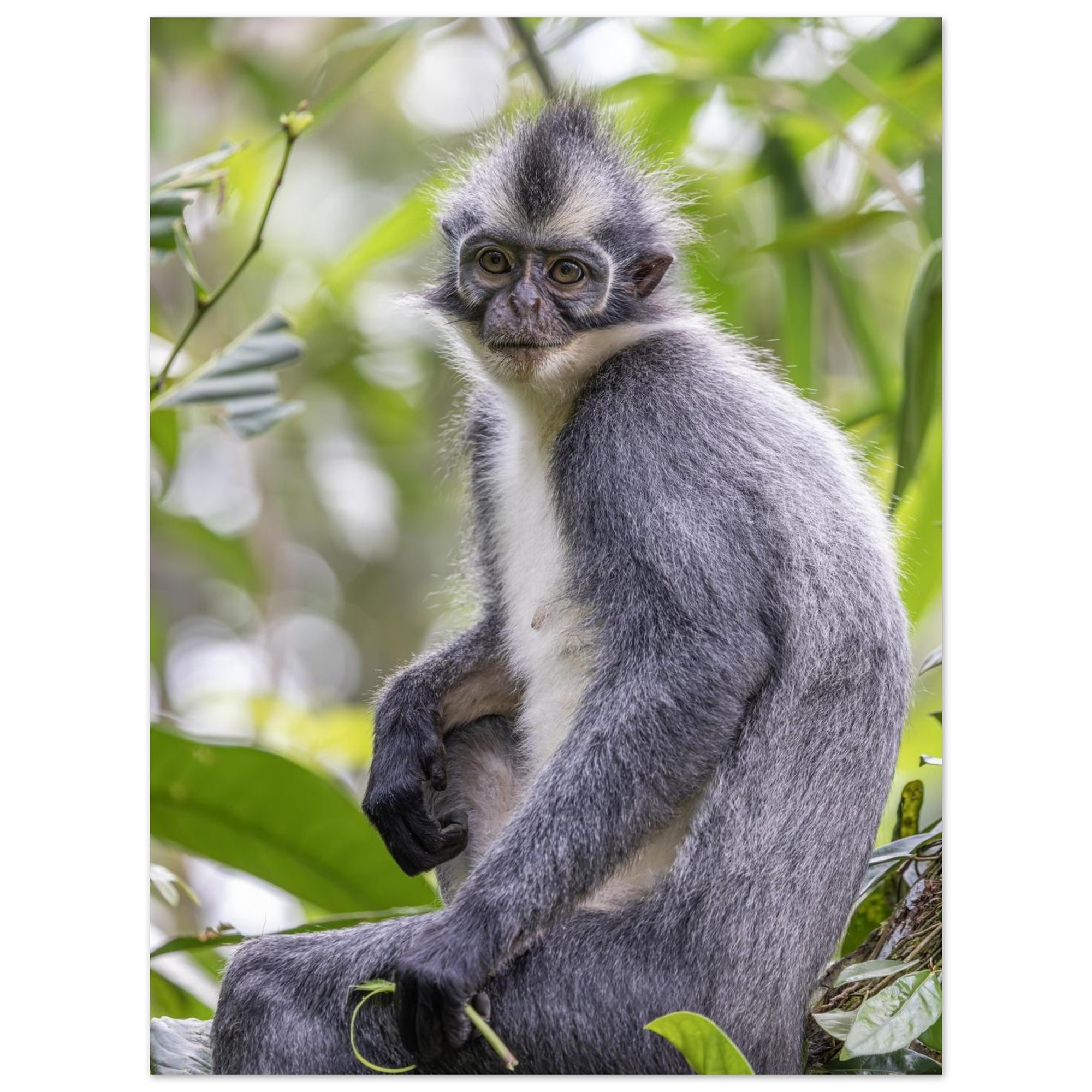 b37dc832-0c06-42cd-a666-c010f7375fad