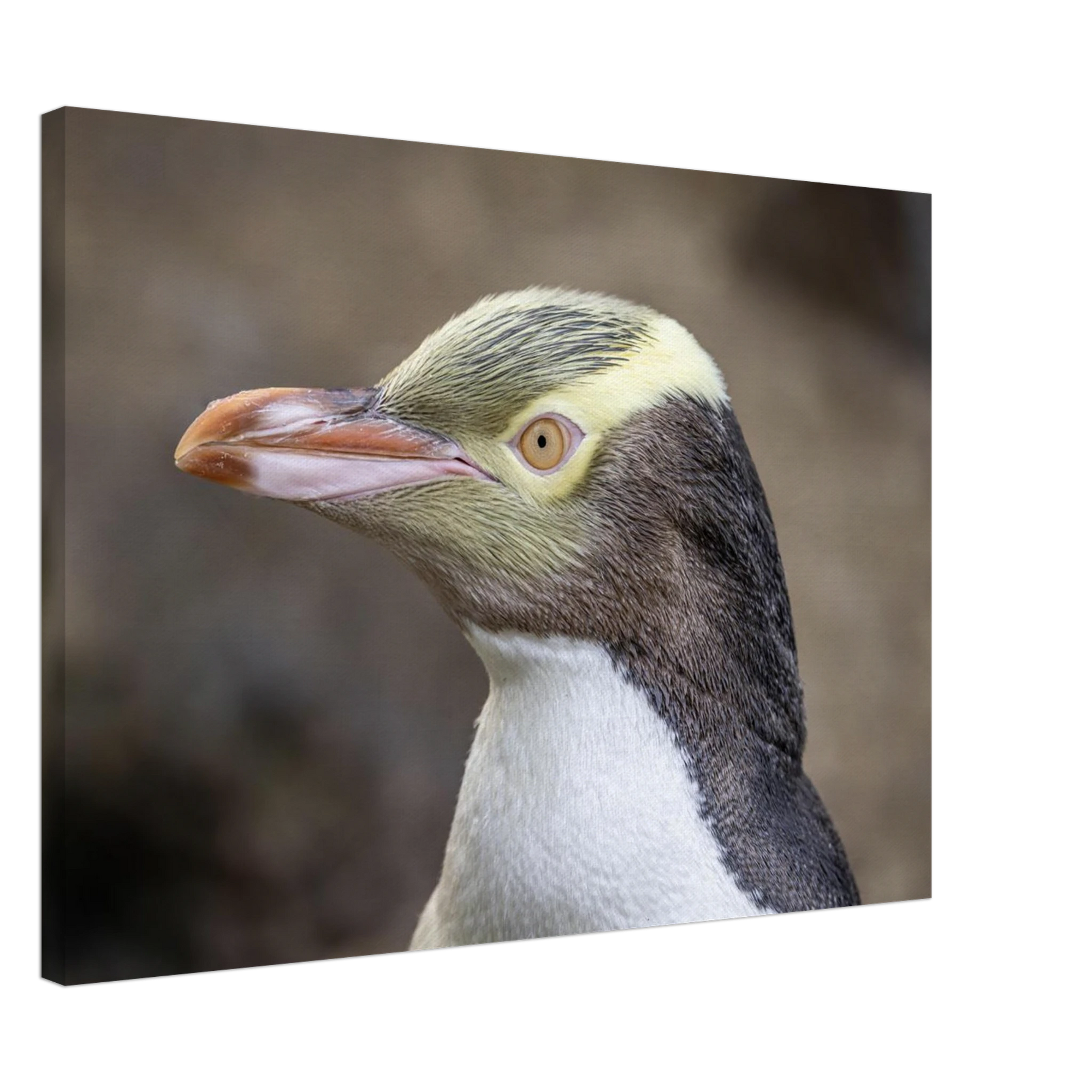 b3f541b3-b9b0-48d2-a8e7-fb985202e020