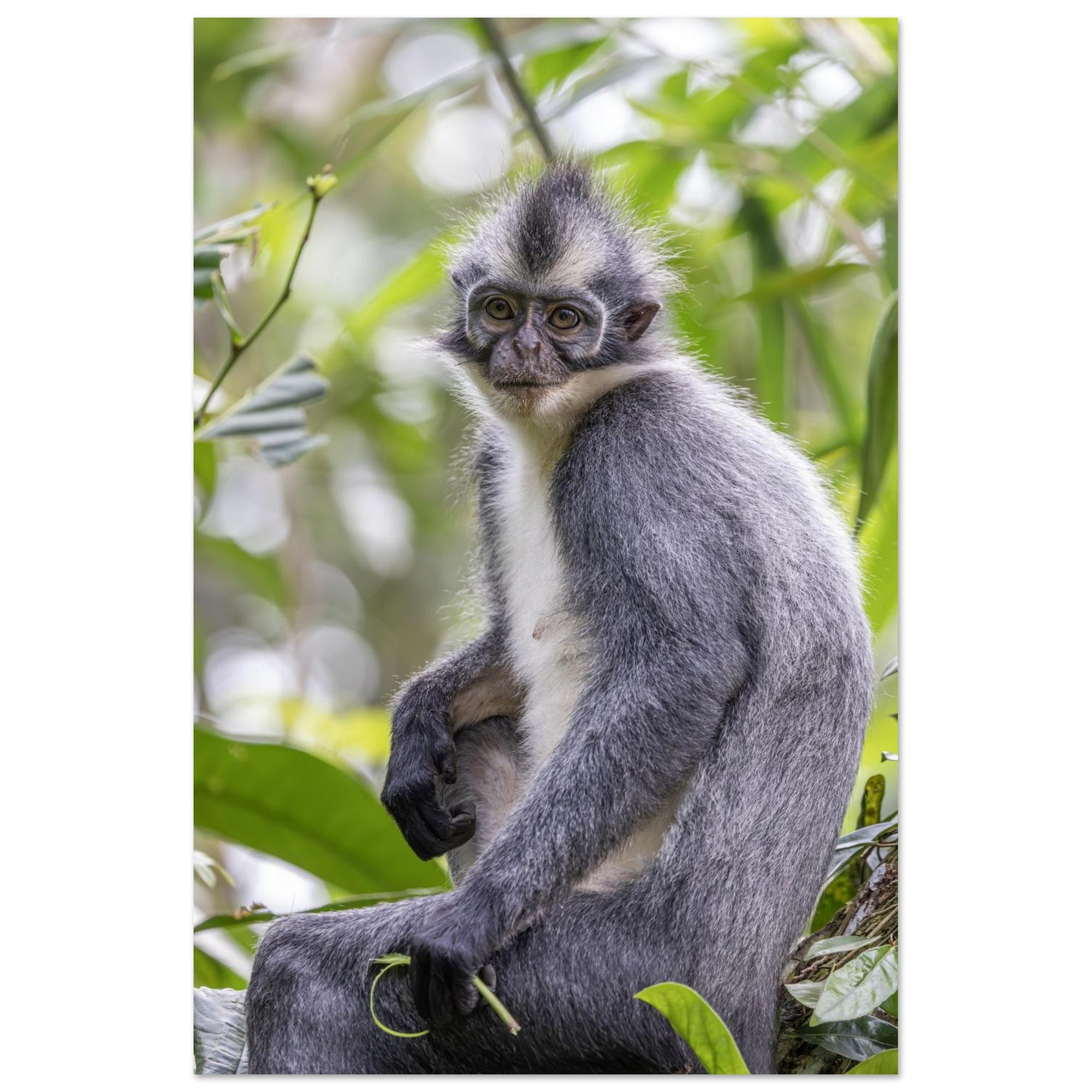 b4175bfb-e6ab-493d-8c65-82fbdd2f1042