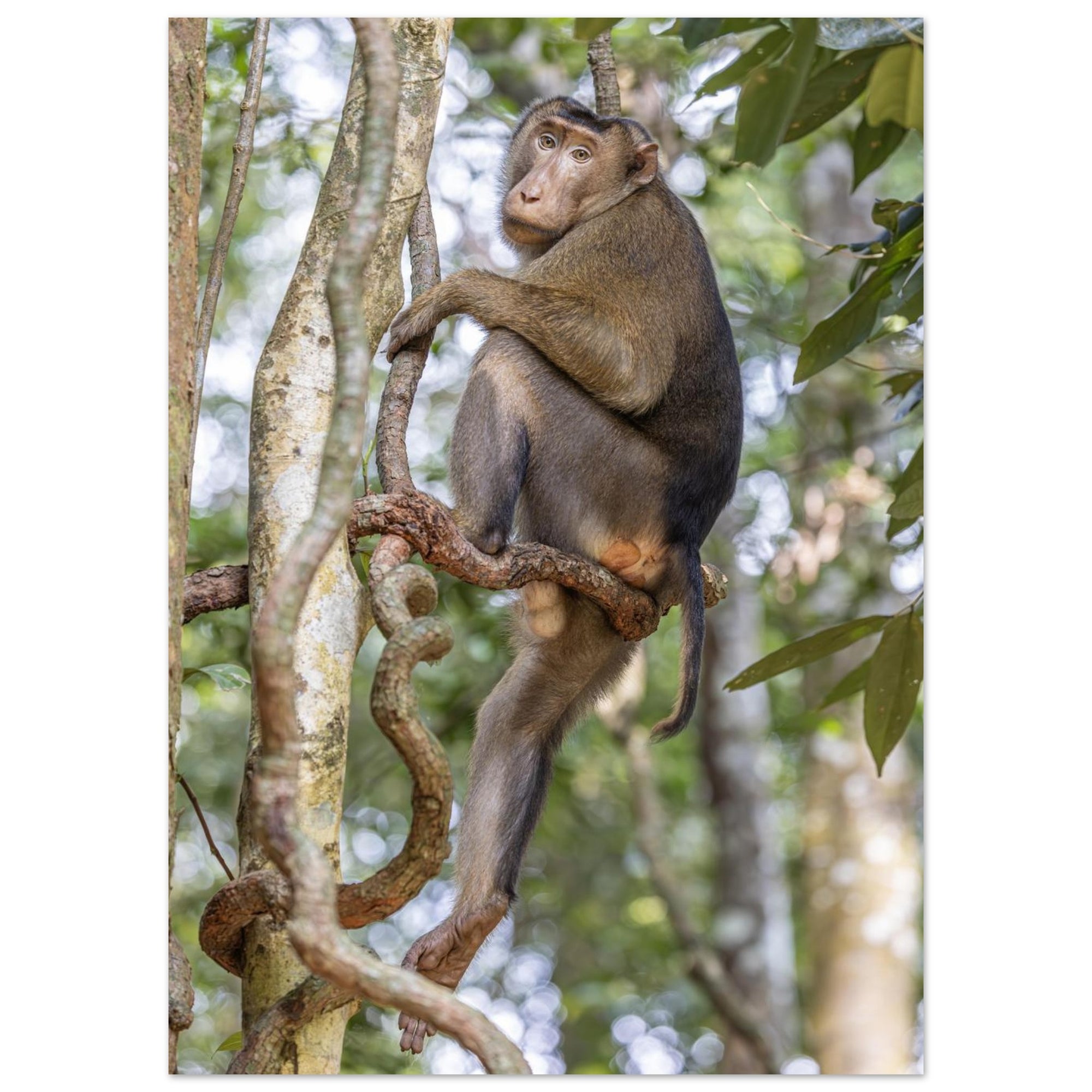 b4d1d342-b442-4735-9b91-4693a2a1d96d