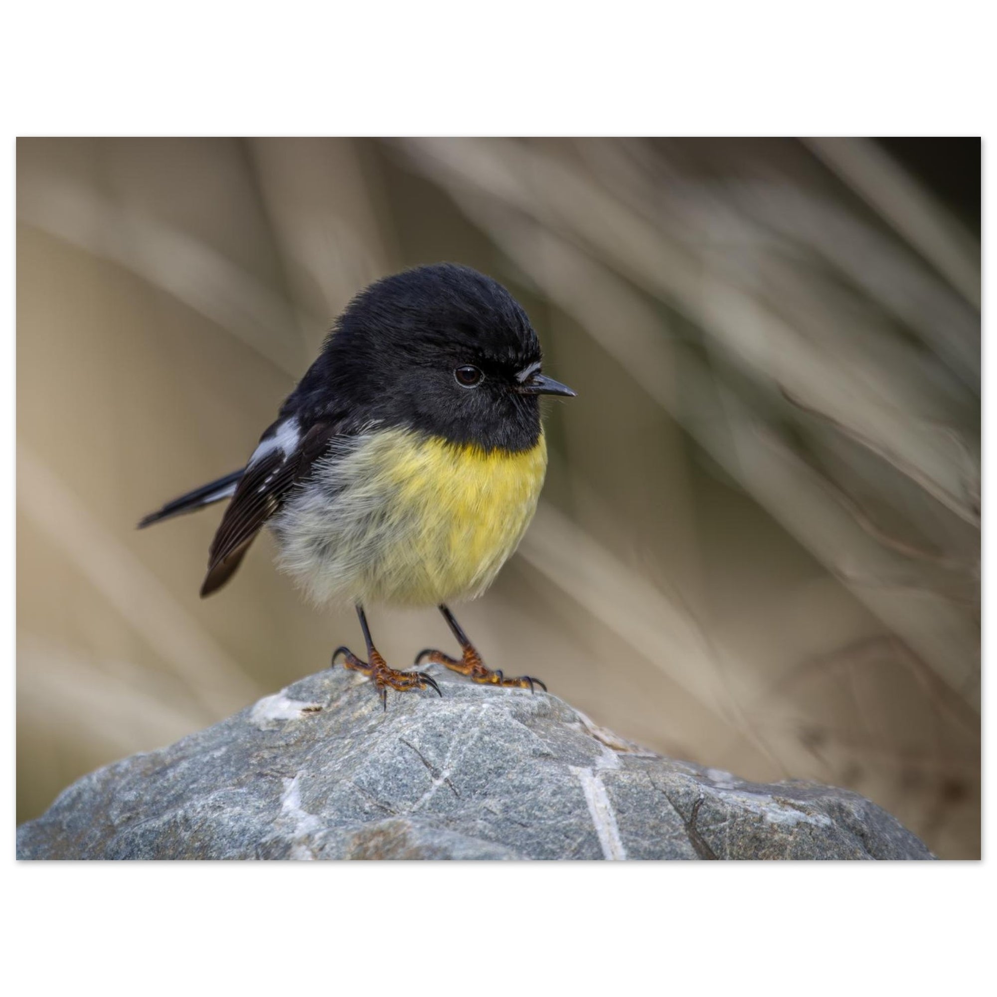 b6e8b655-b417-47de-9b25-8829d3b996f8