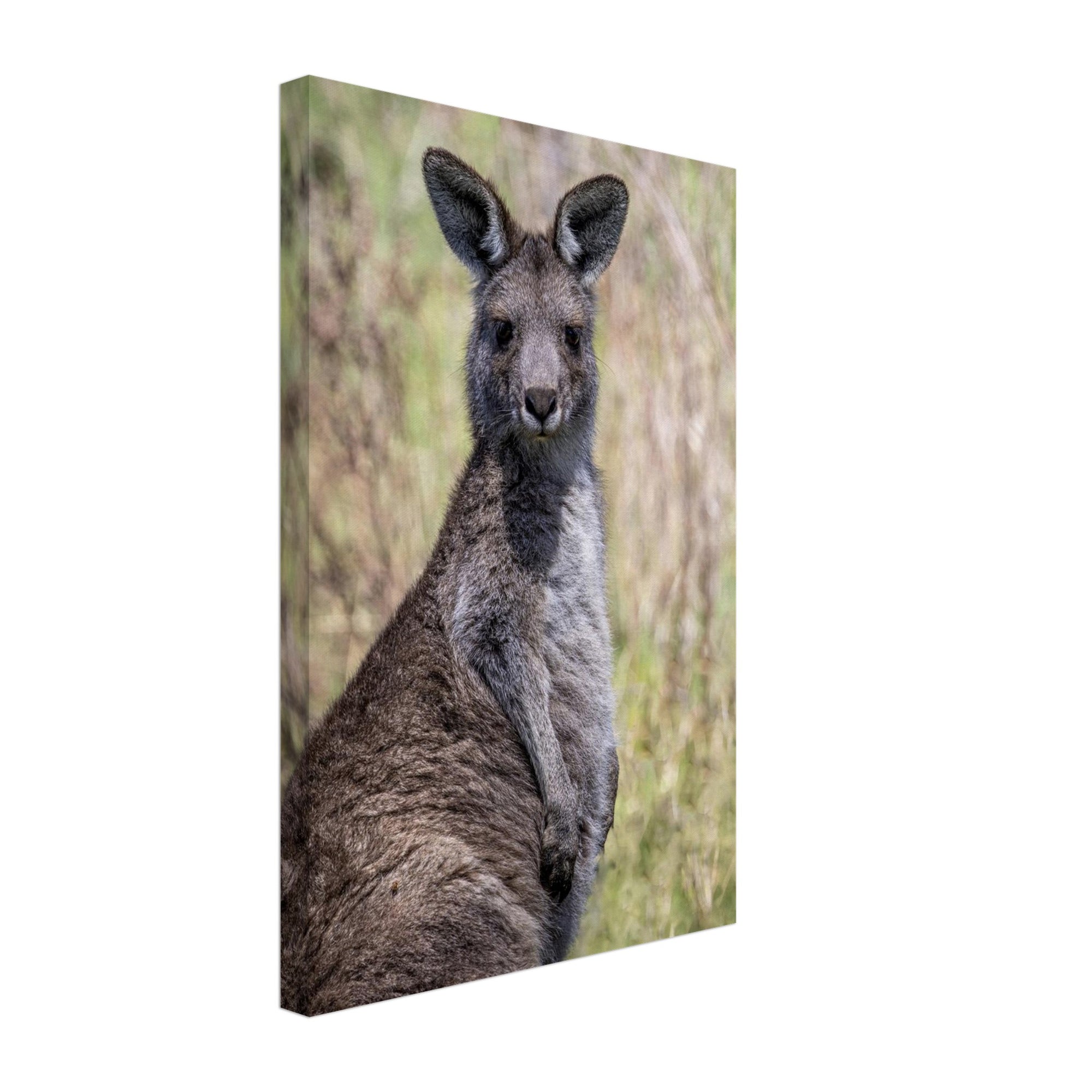 b748ac85-9693-41b2-9097-3aad9a968c8e