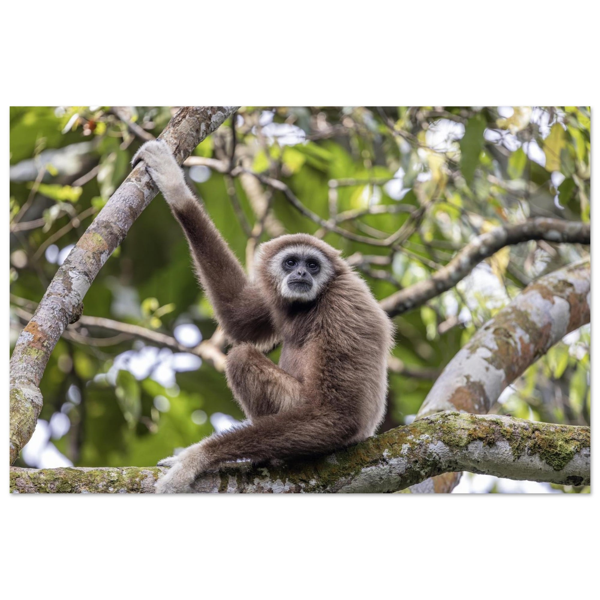 b87c3d70-d64d-4728-a55b-8c87ac958ce1