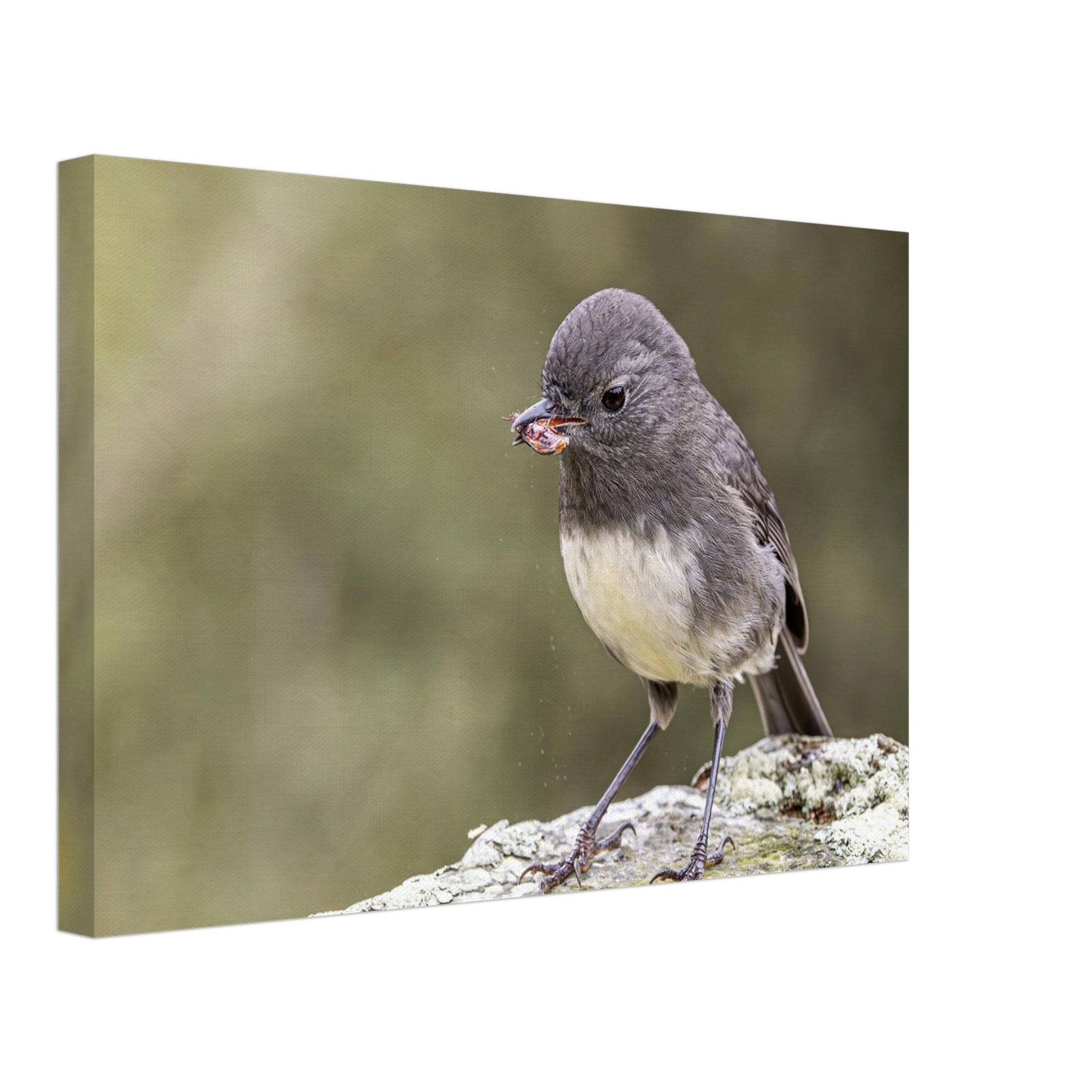 b9854d69-ba81-4c1c-b461-a3eb1212646b