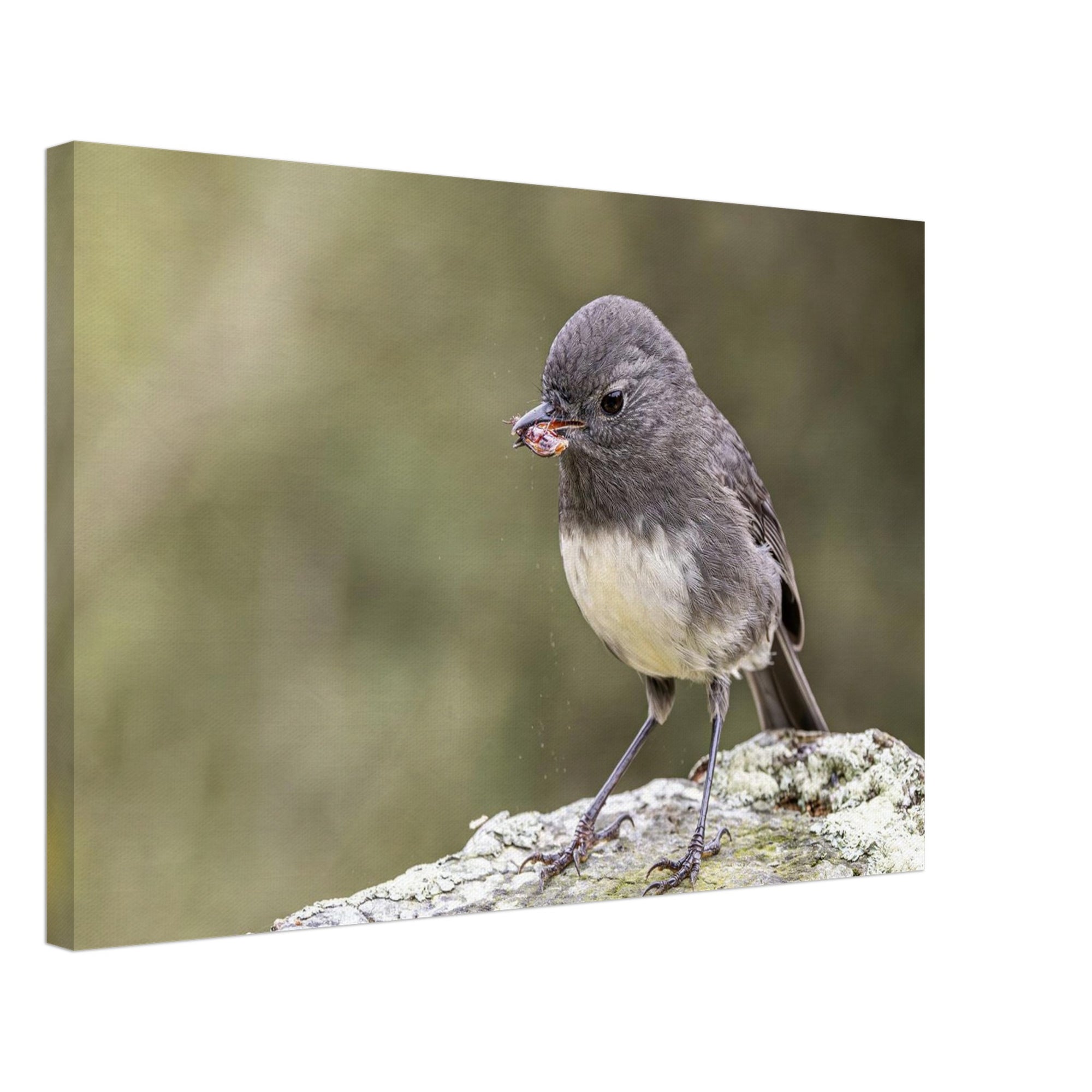 bab03002-8ee6-491b-8a86-6b7b6d92593b