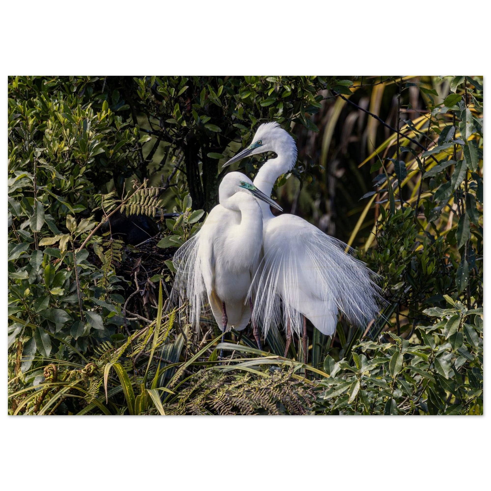 bb000f12-0d5d-45fa-9a31-f6e2434f9906