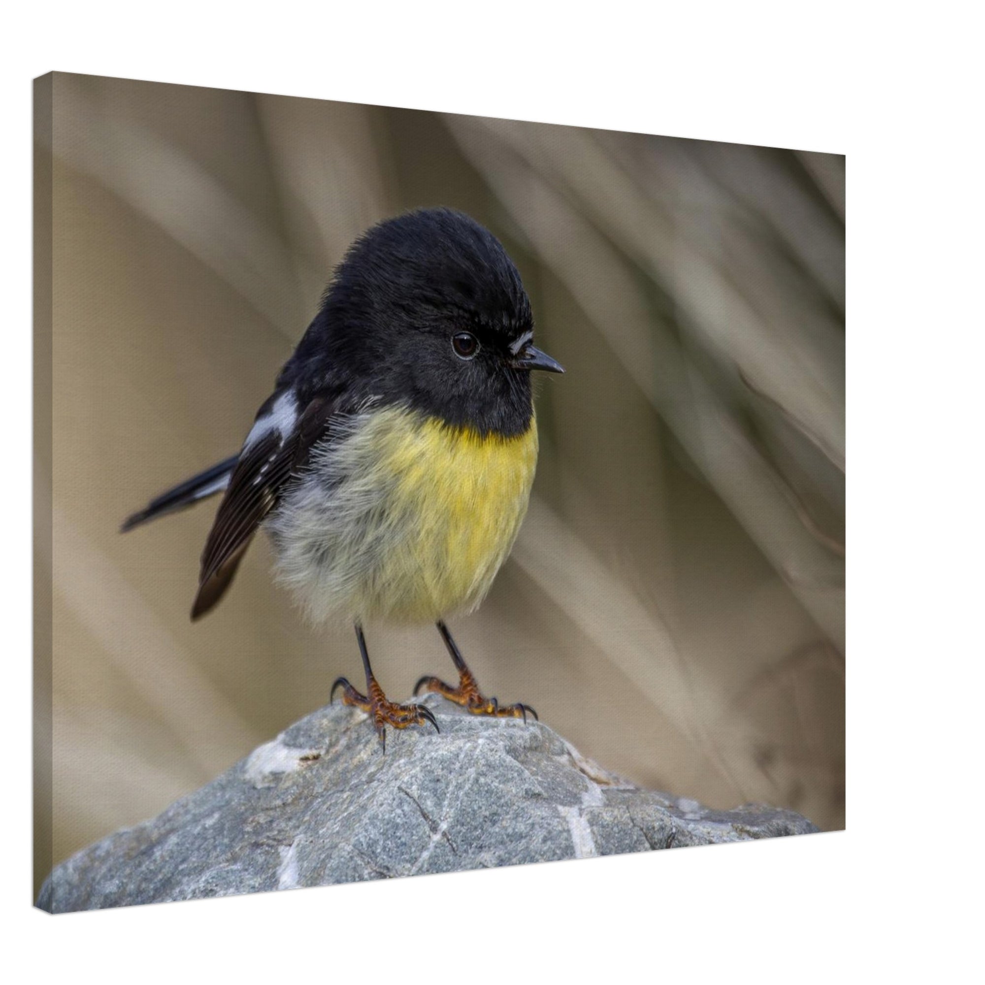 bc52e2d2-2bea-410e-9f47-2702d3cfde6d