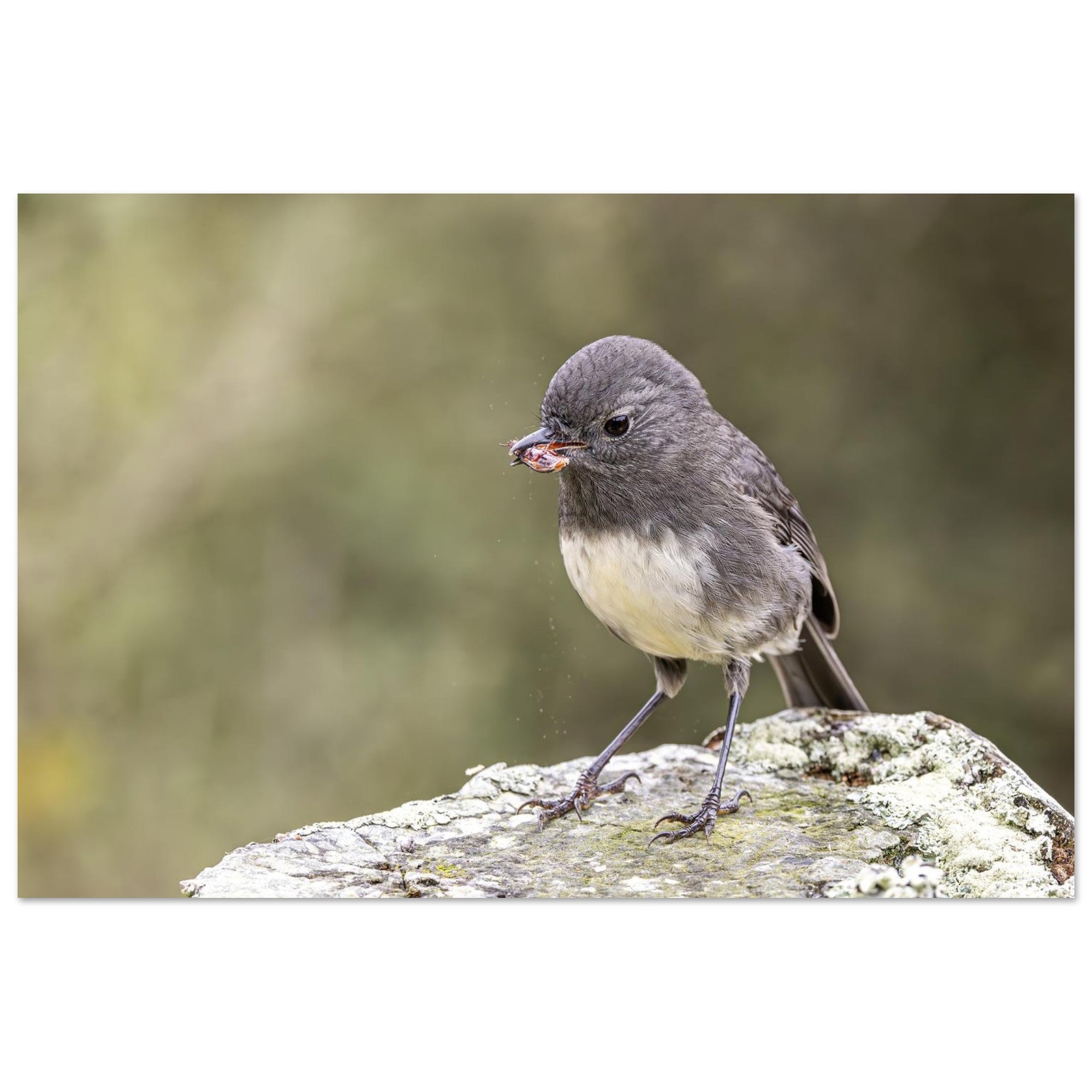 bd5799a7-7016-42e8-acd1-52d421aa5a30