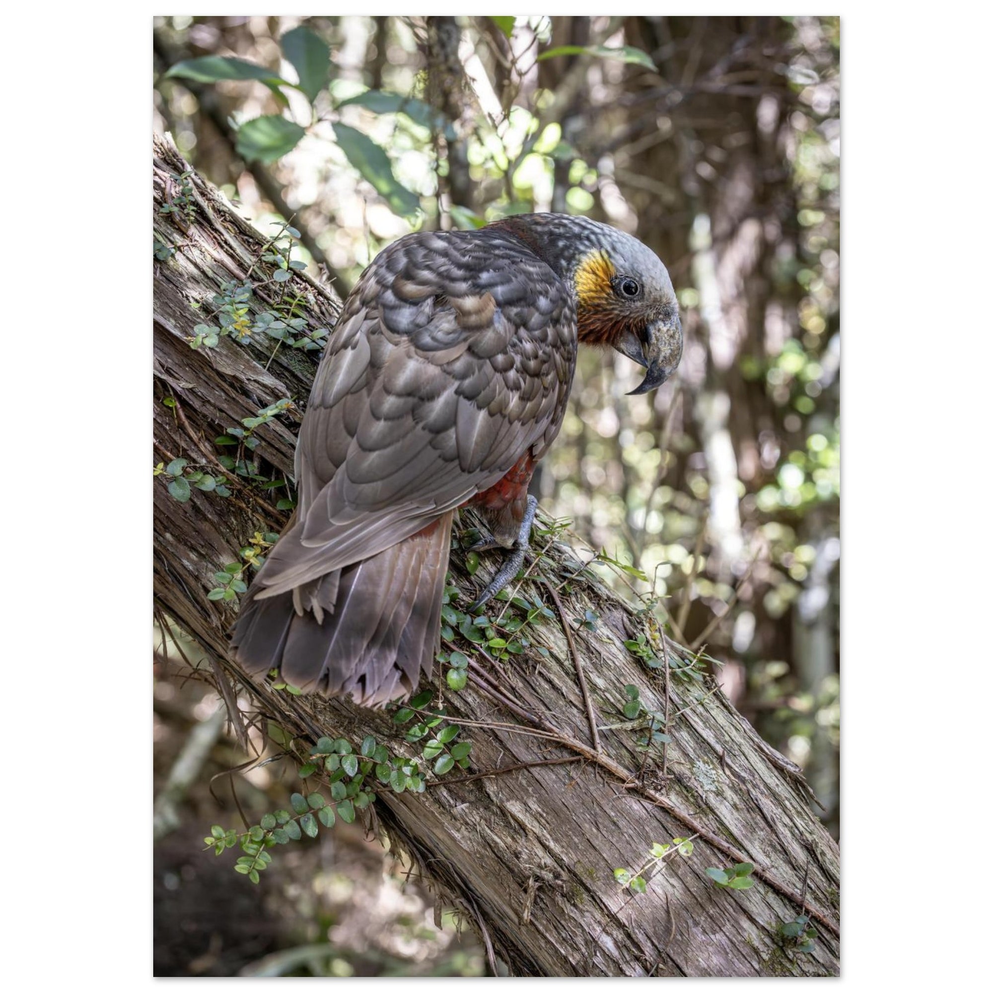 bde3305b-21ba-461f-a775-00a336128ab6