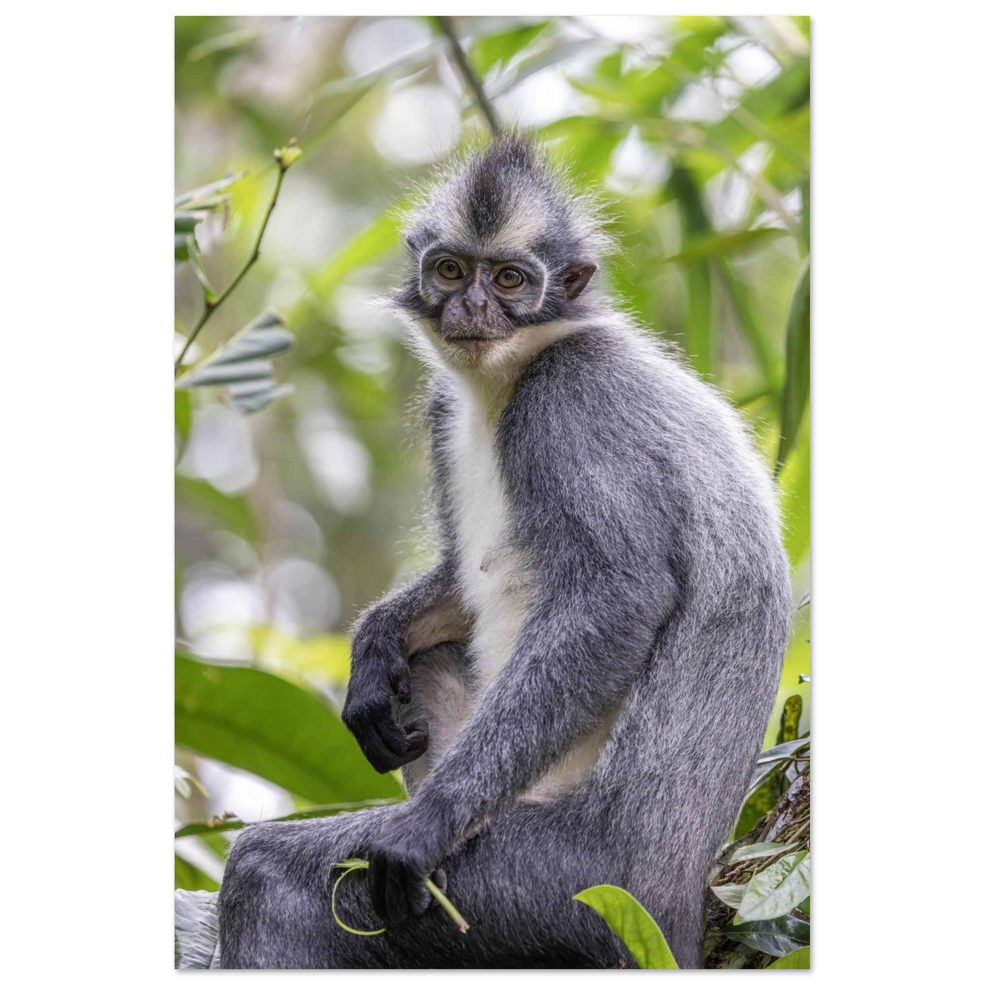 bf334994-c589-49b5-b23d-18dfe4f4e25f