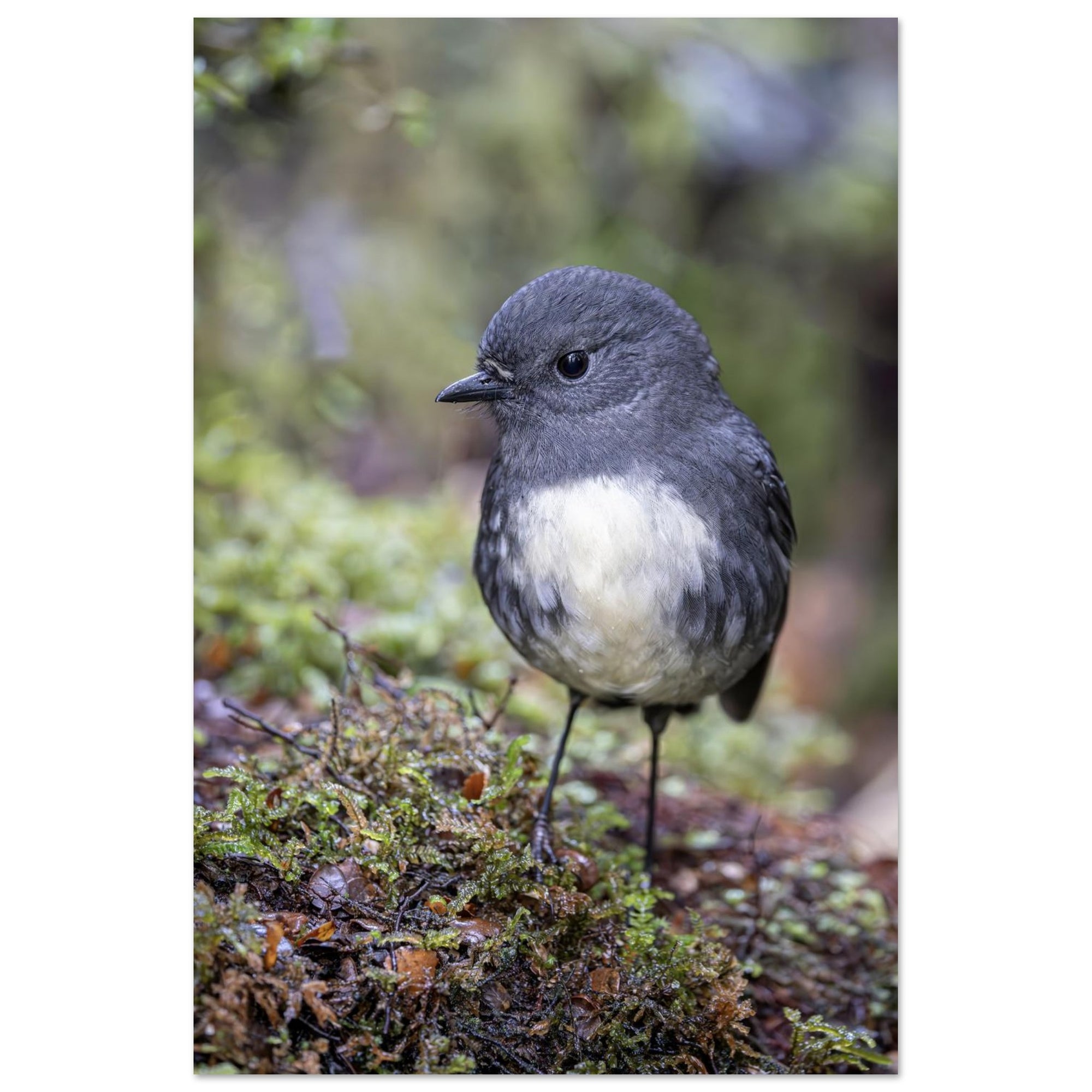 c0ec457f-d8dc-44aa-8bca-a92714c9777d