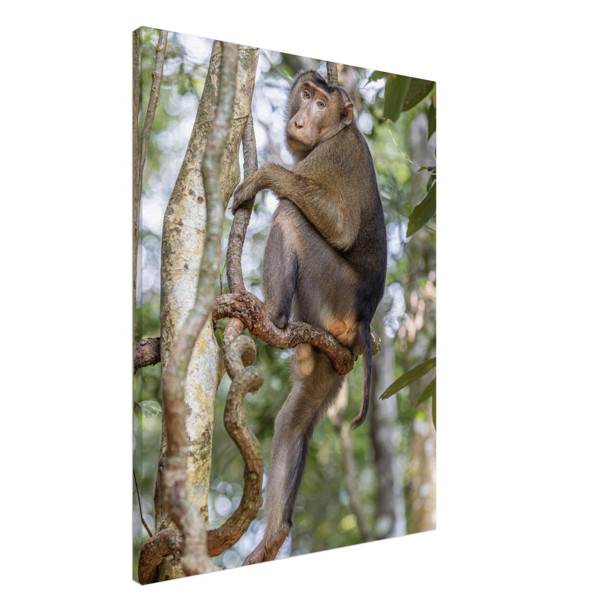 c1d0ef91-88e0-4966-b536-71688fa285ac