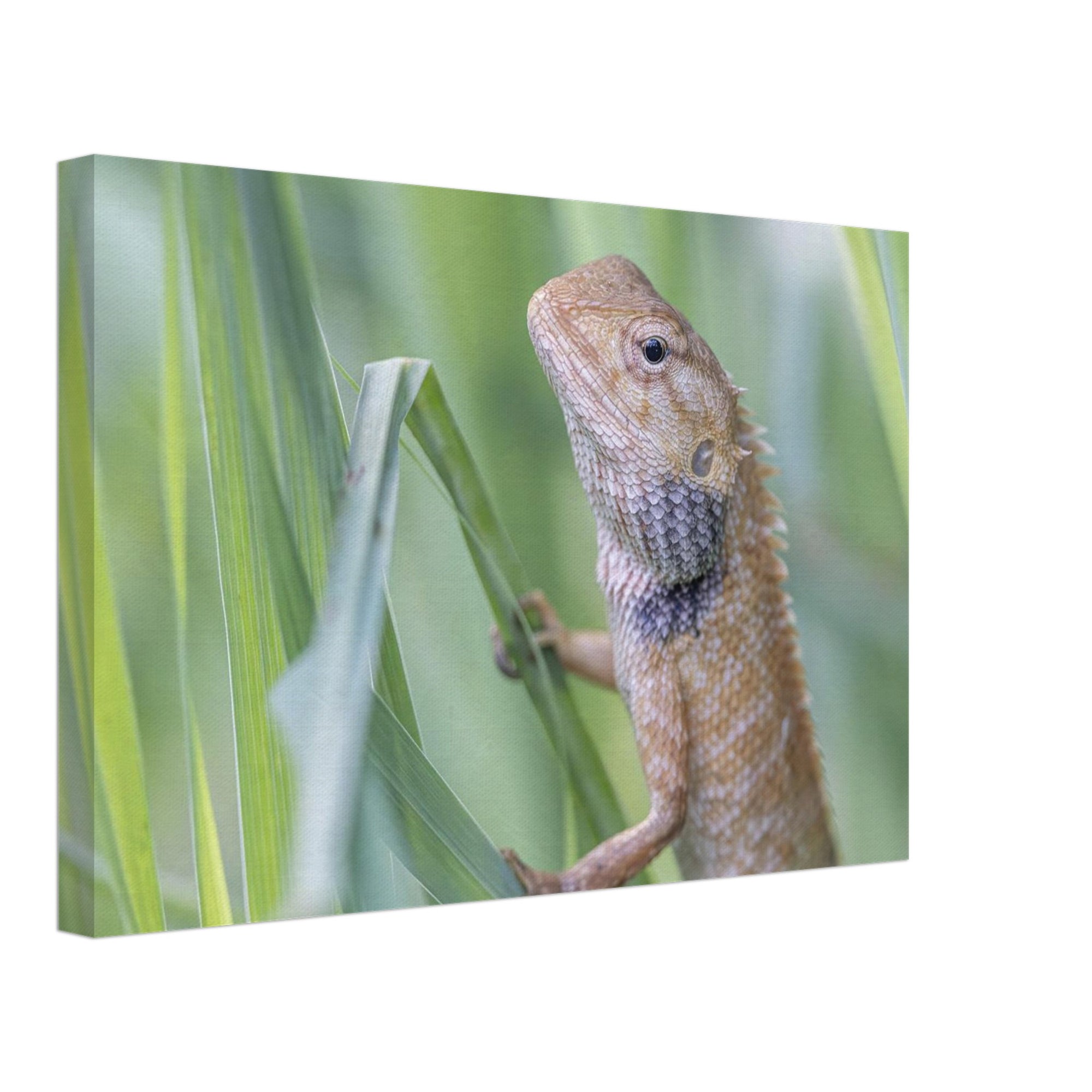 c20e076f-31b0-4c54-bc2b-3fc62f65e46c