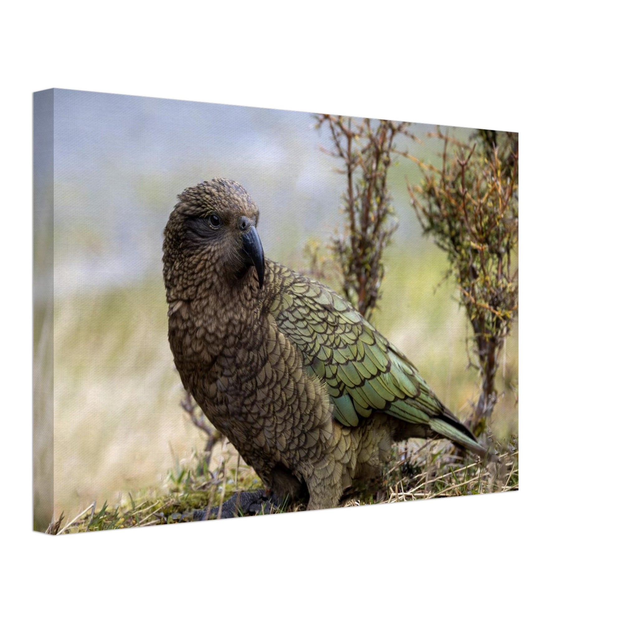 c389d59c-36e7-4509-b677-86cb8f26a712