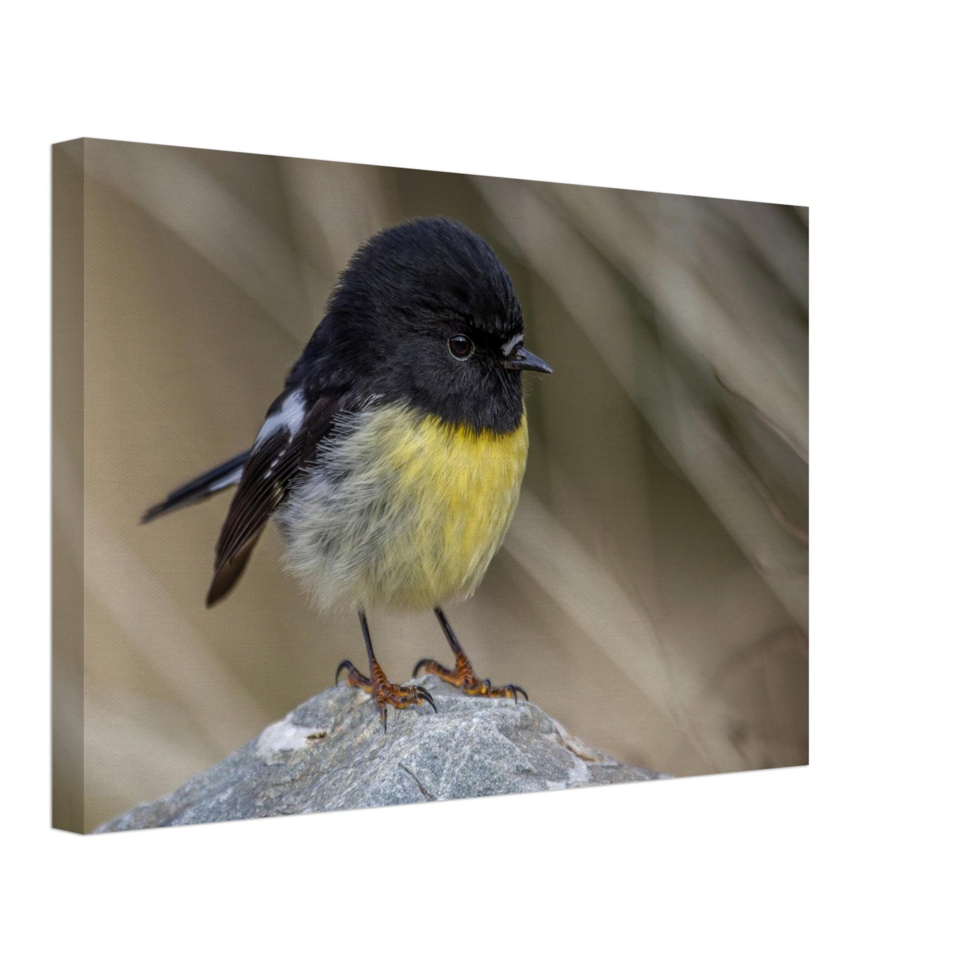 c693bc80-205c-4193-a40e-72941dad6c7b