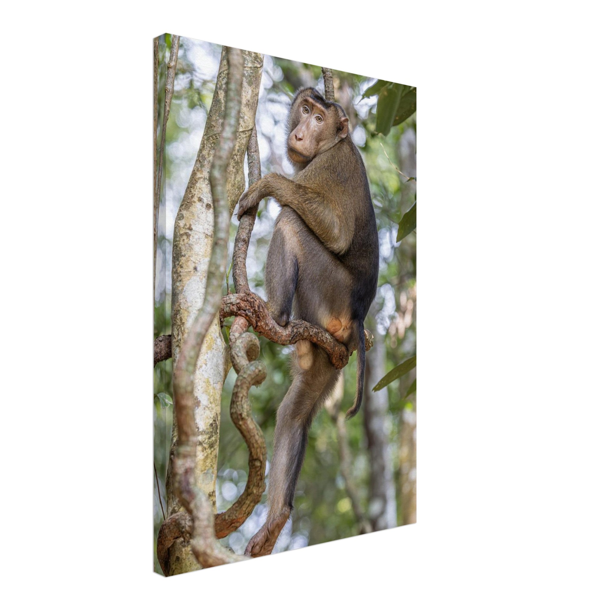 cdcb1dac-f686-49db-8c49-91aea0ba036e