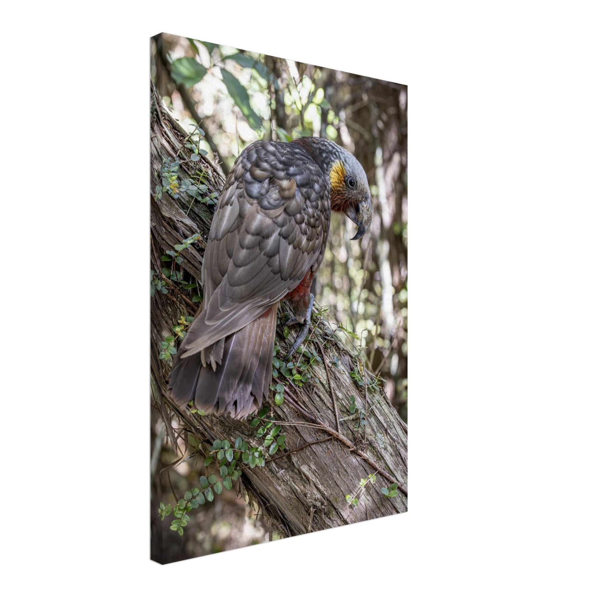 d189928b-cc22-4e6b-a641-b25bc42c70ac