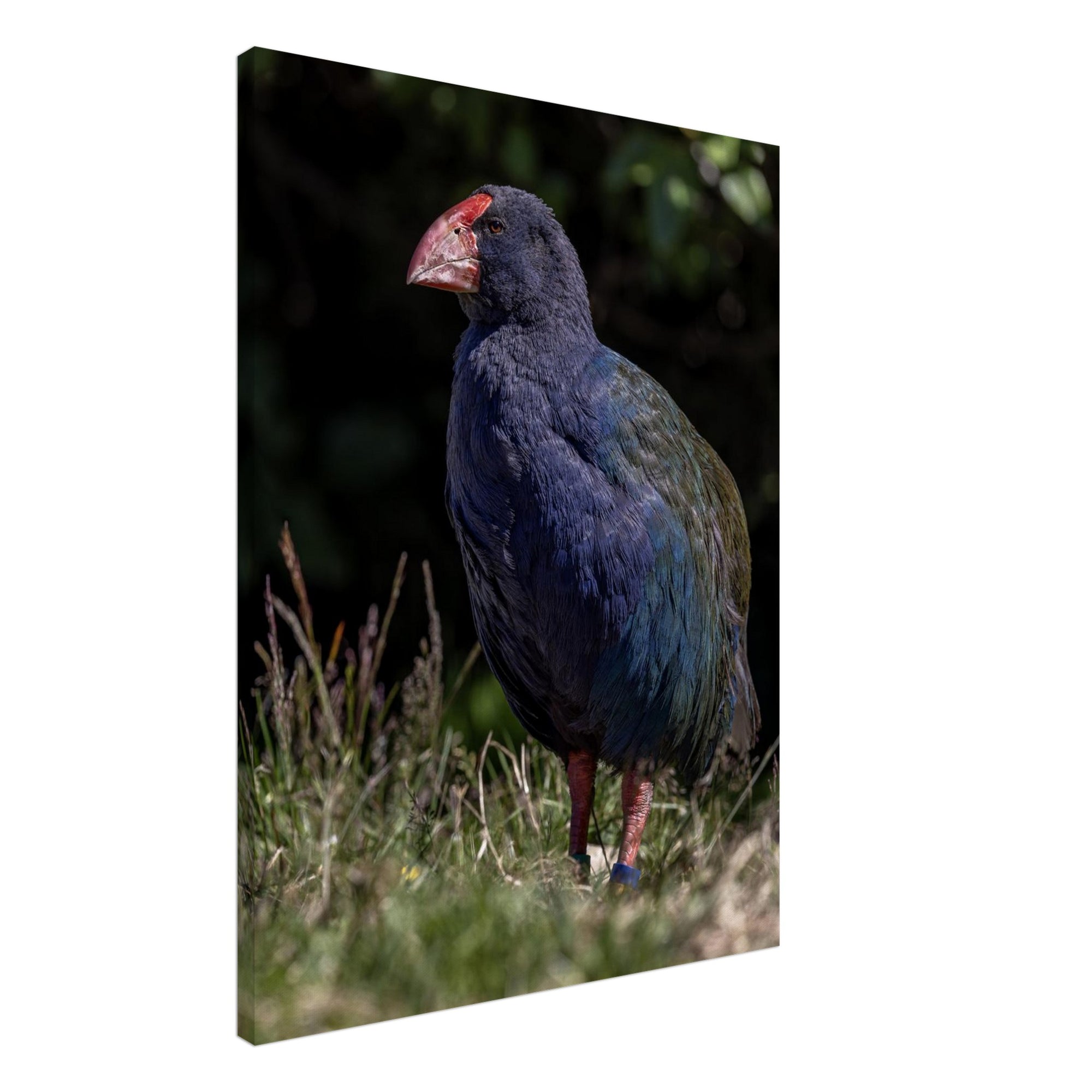 d3d82277-572f-46b2-84e3-6c9bc0e43199