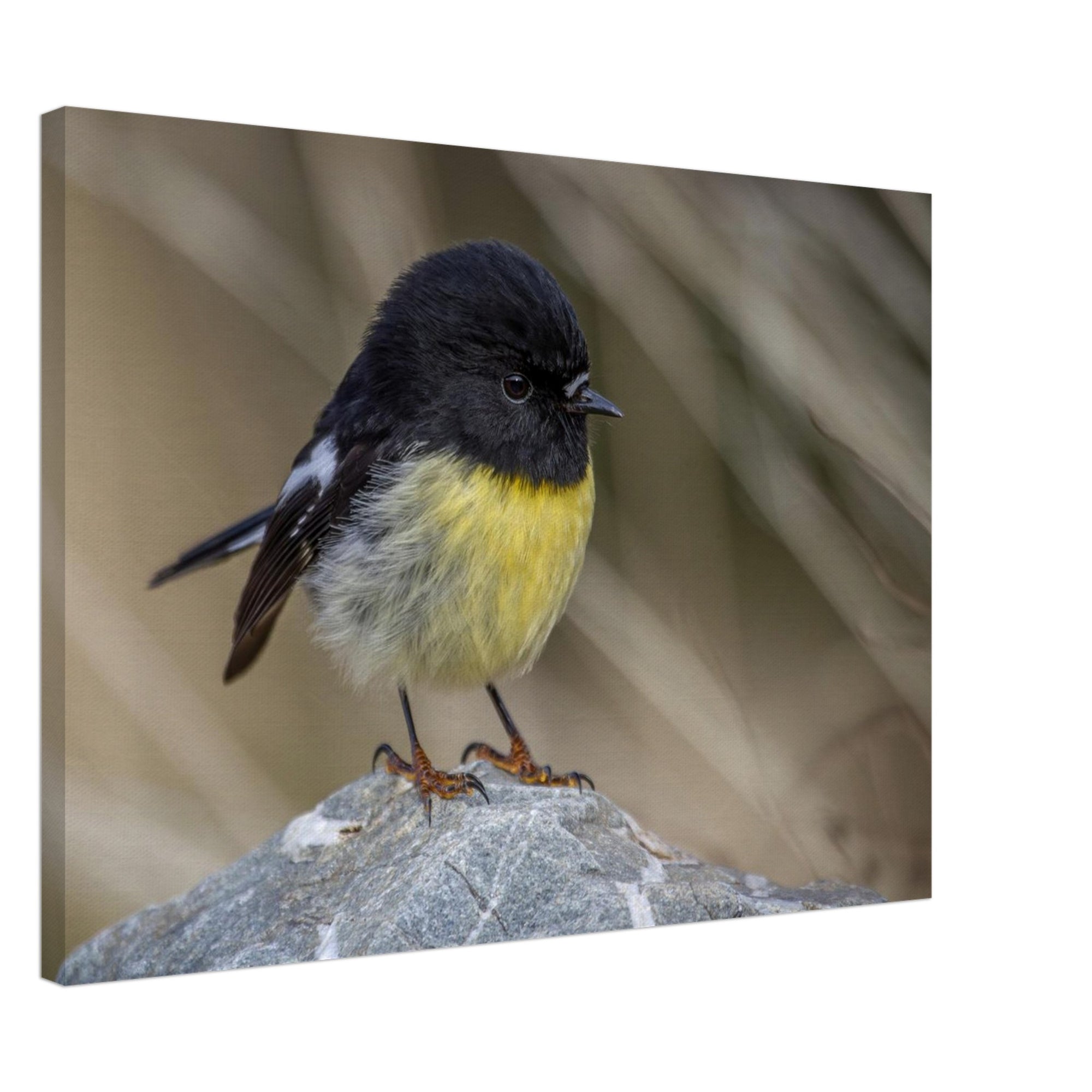 d4b00994-33d2-44cc-80f9-1384a0bf3120