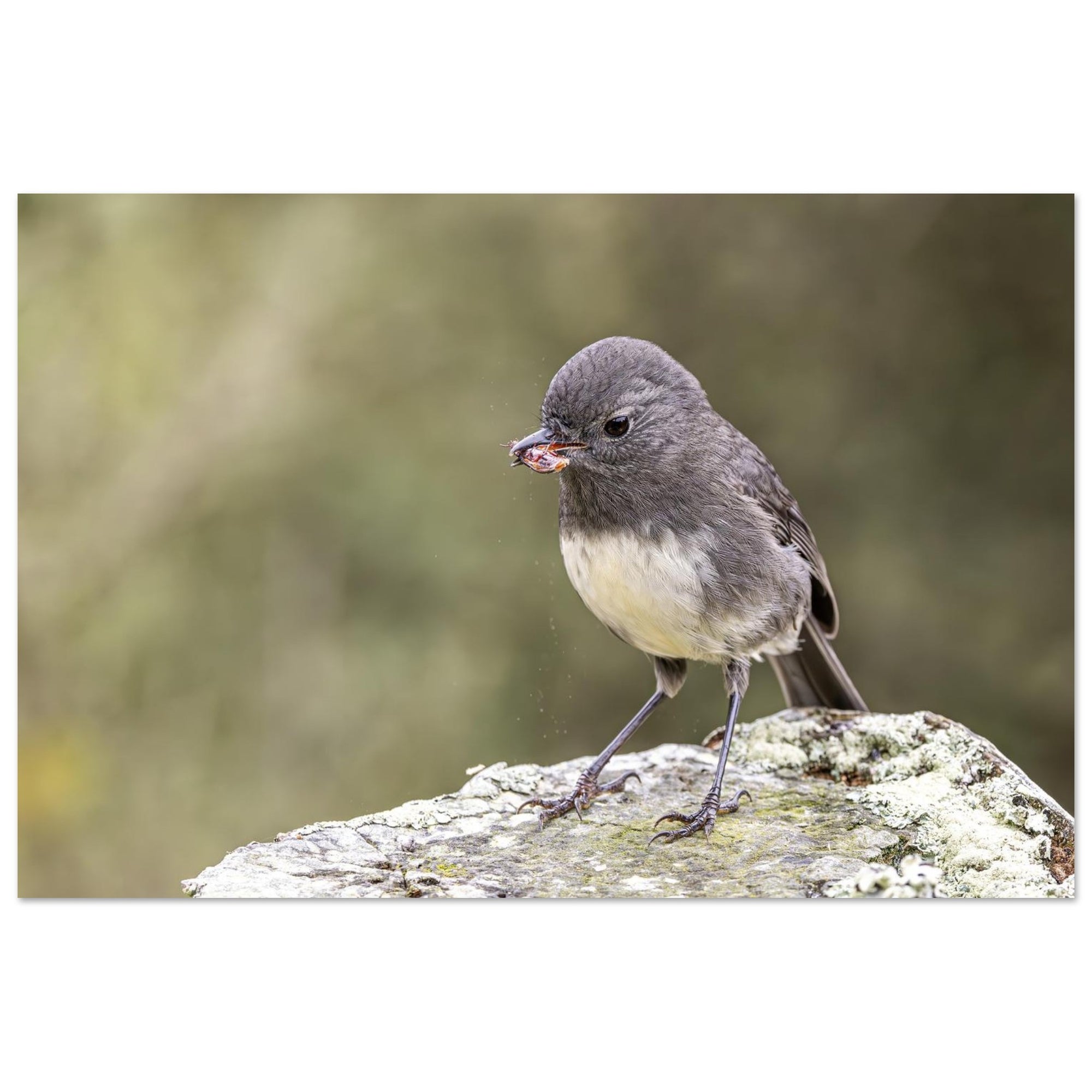 d5297657-7f46-41c4-9a31-ea8941c77051