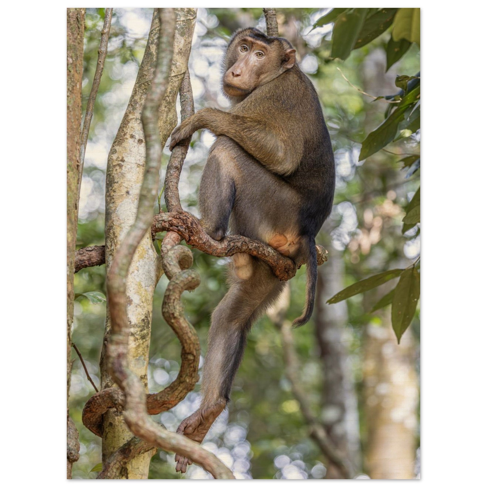 d5662d67-67d0-4c6d-8c34-b0c9d9c5b2f8