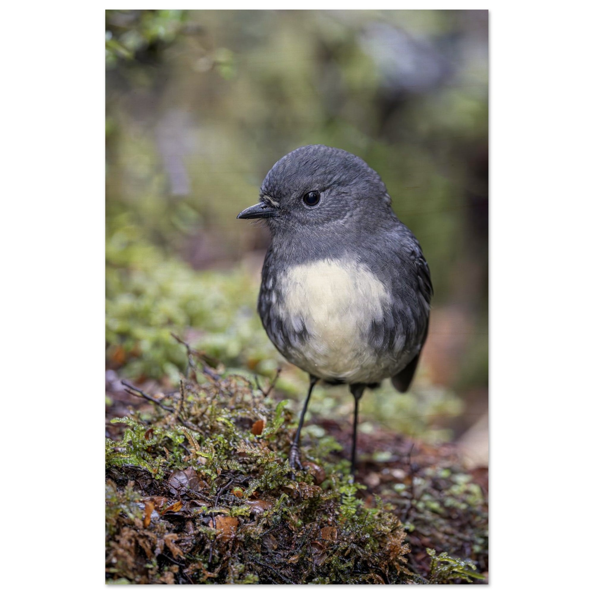 d6374dfe-9596-4ab3-8afd-b87d24dce413