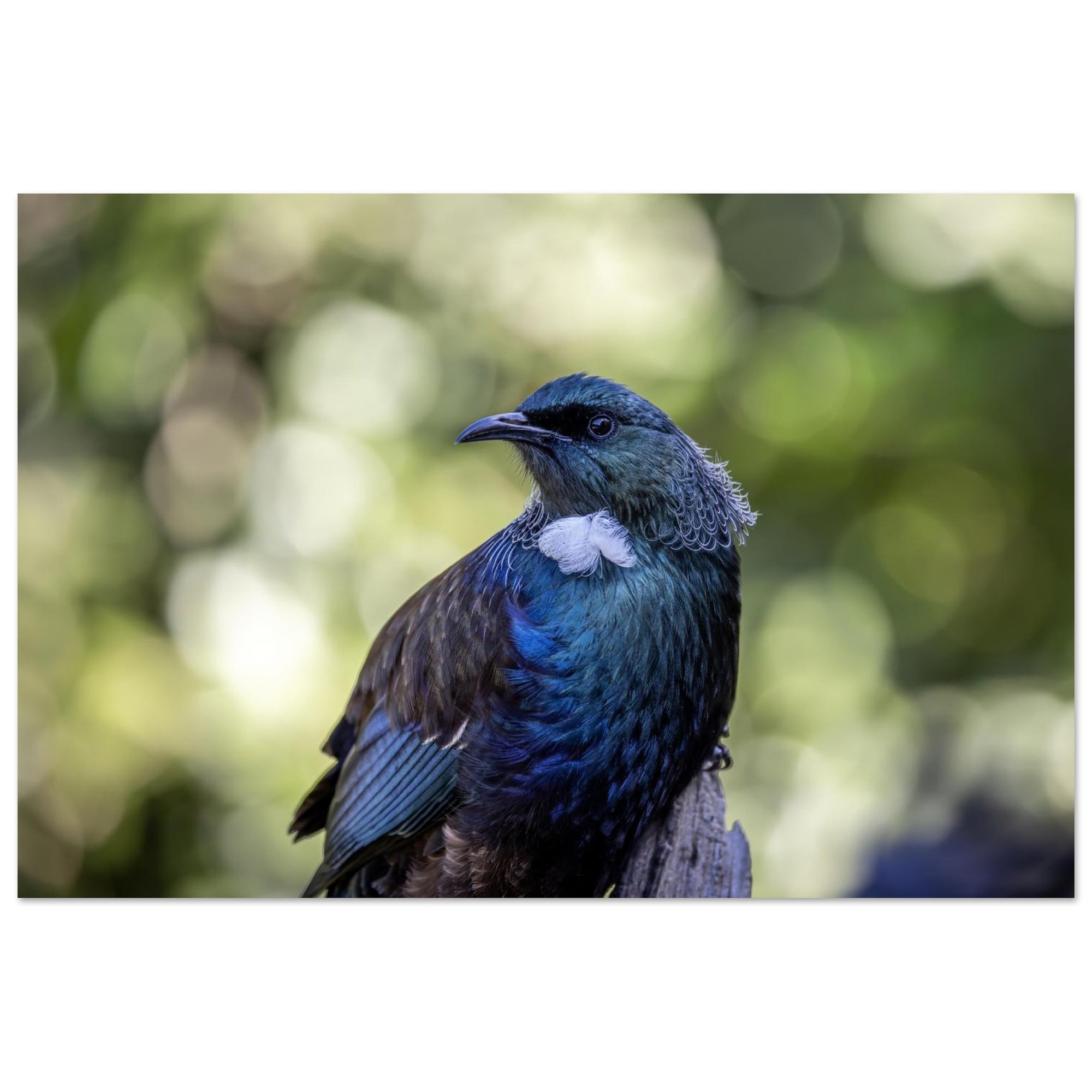 d711d2fb-f754-4c59-8043-766c6684c46c