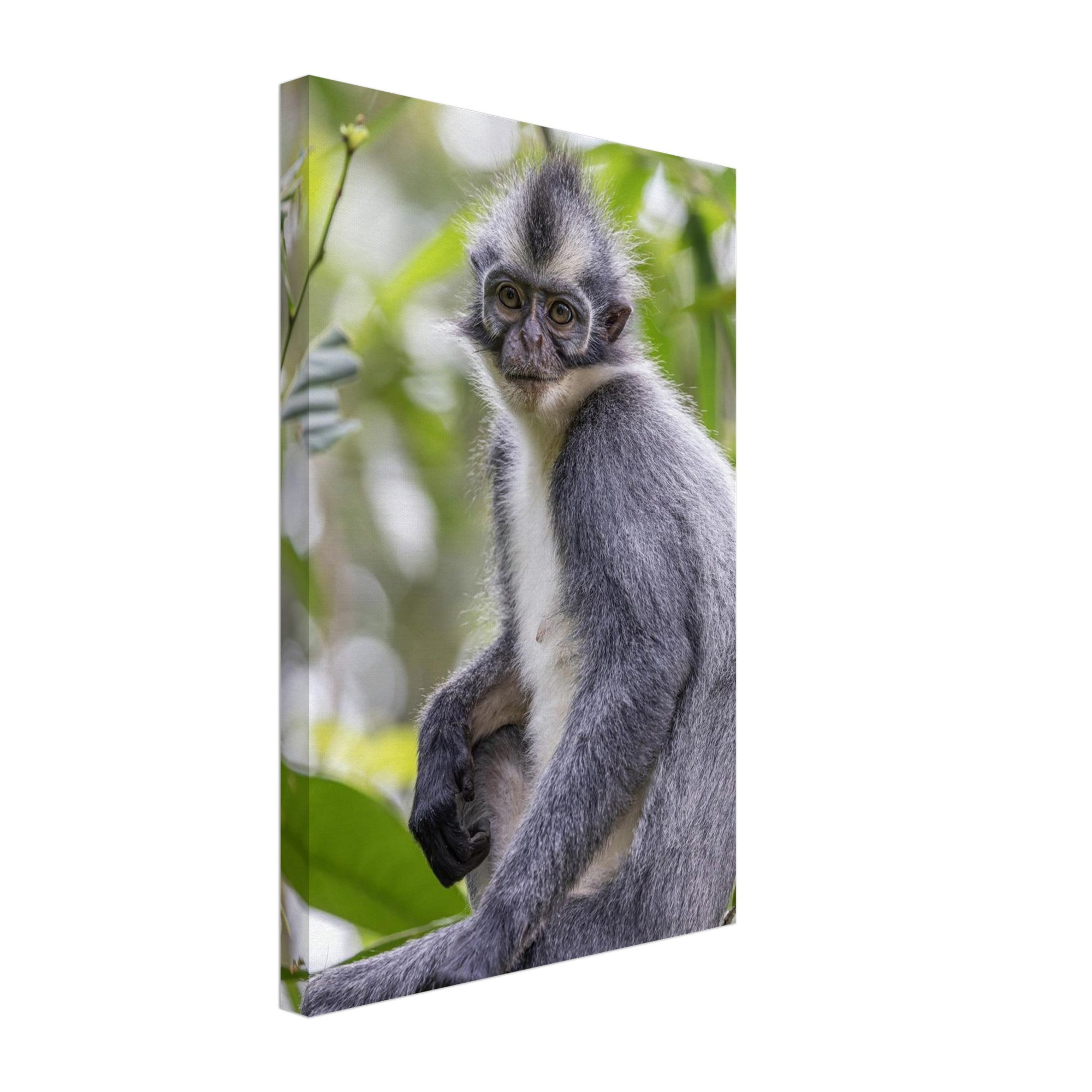 d91385bc-a3cd-4cd3-85fd-ff95f8d731f0