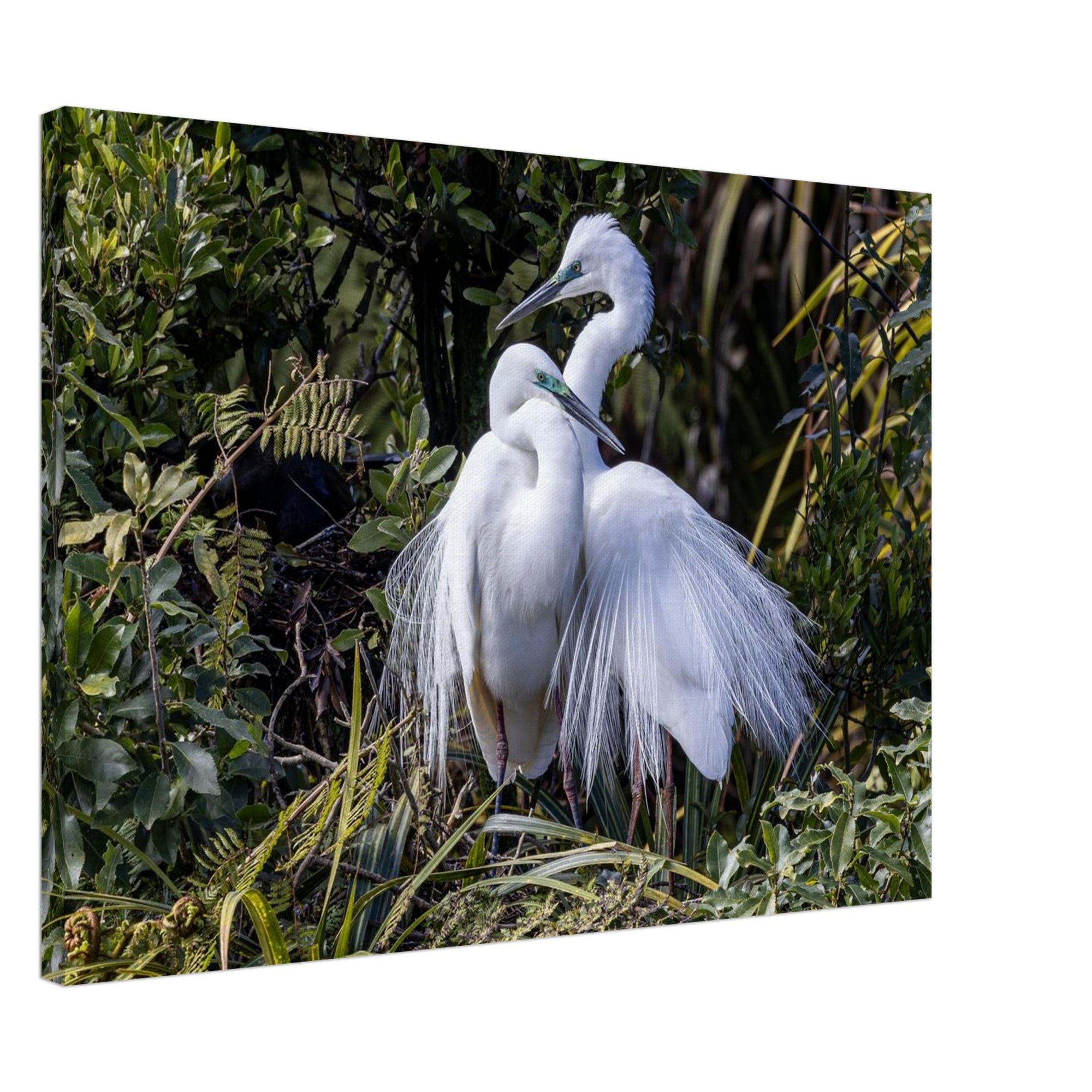 d9658c31-532c-4304-968c-d72423d496b2