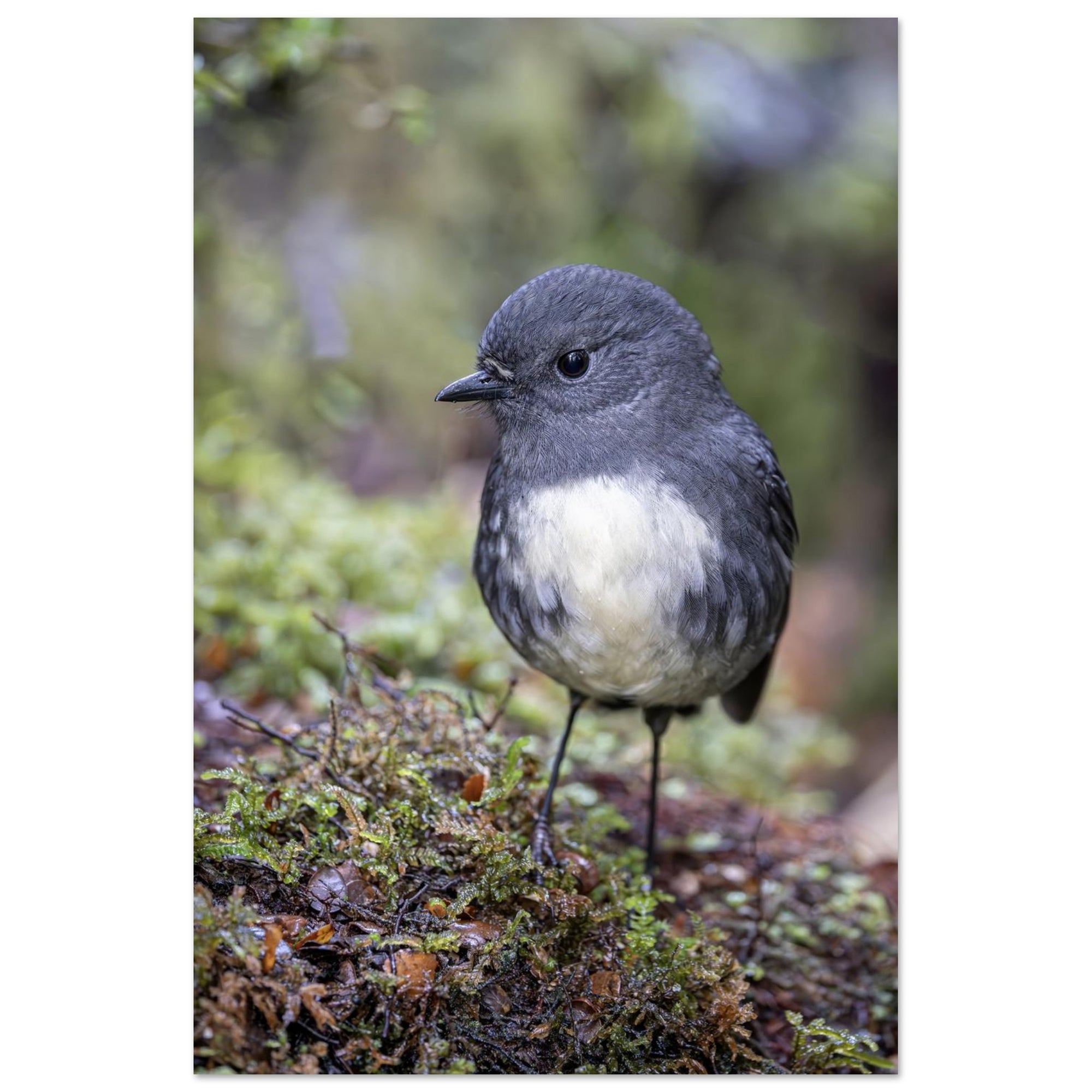 da3ab6ff-6729-47fa-b791-6d5f4e600075