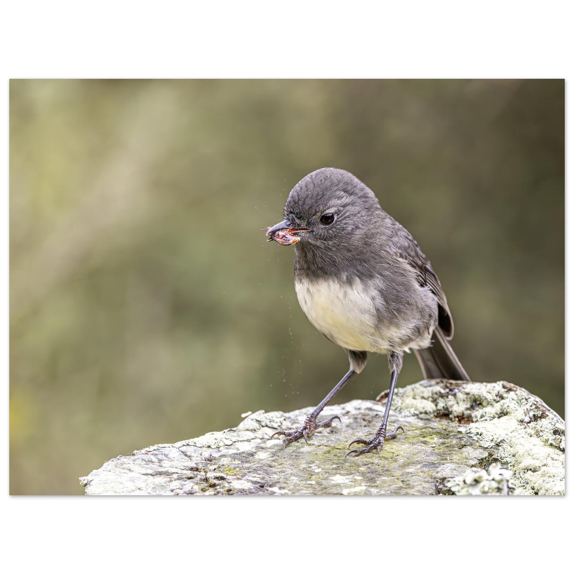 db344525-7f71-44df-8cba-3d592c8ecef0