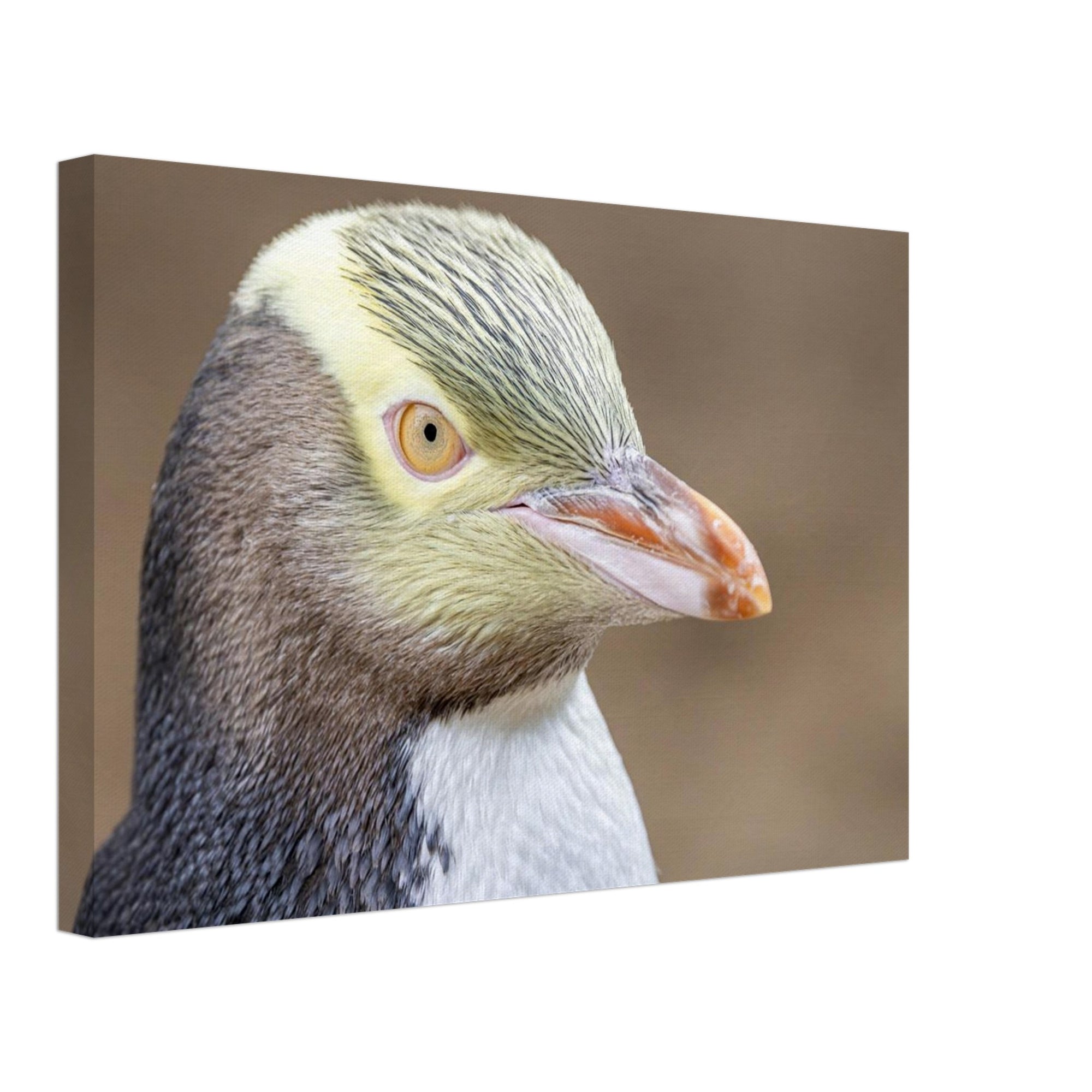 ddf3f678-a7a9-4fdb-b165-a38451bd9443