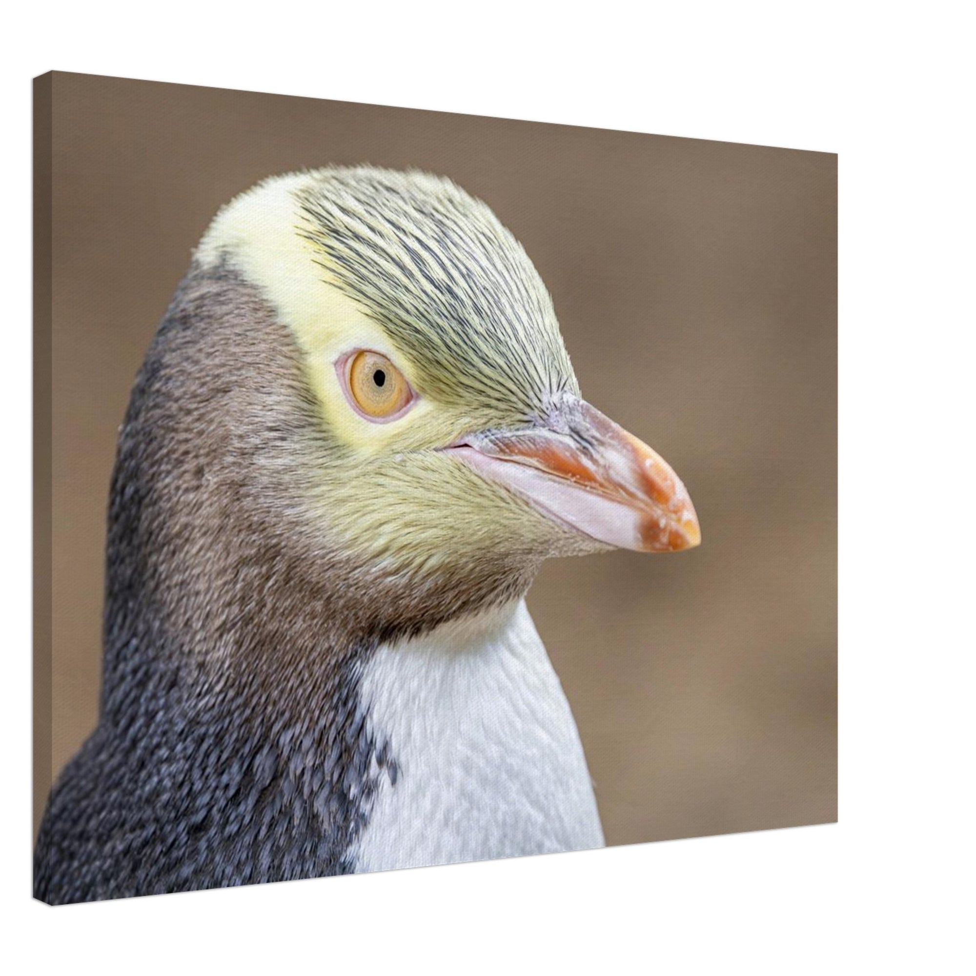 dede1852-c43b-4d9b-b846-c63671b211a3