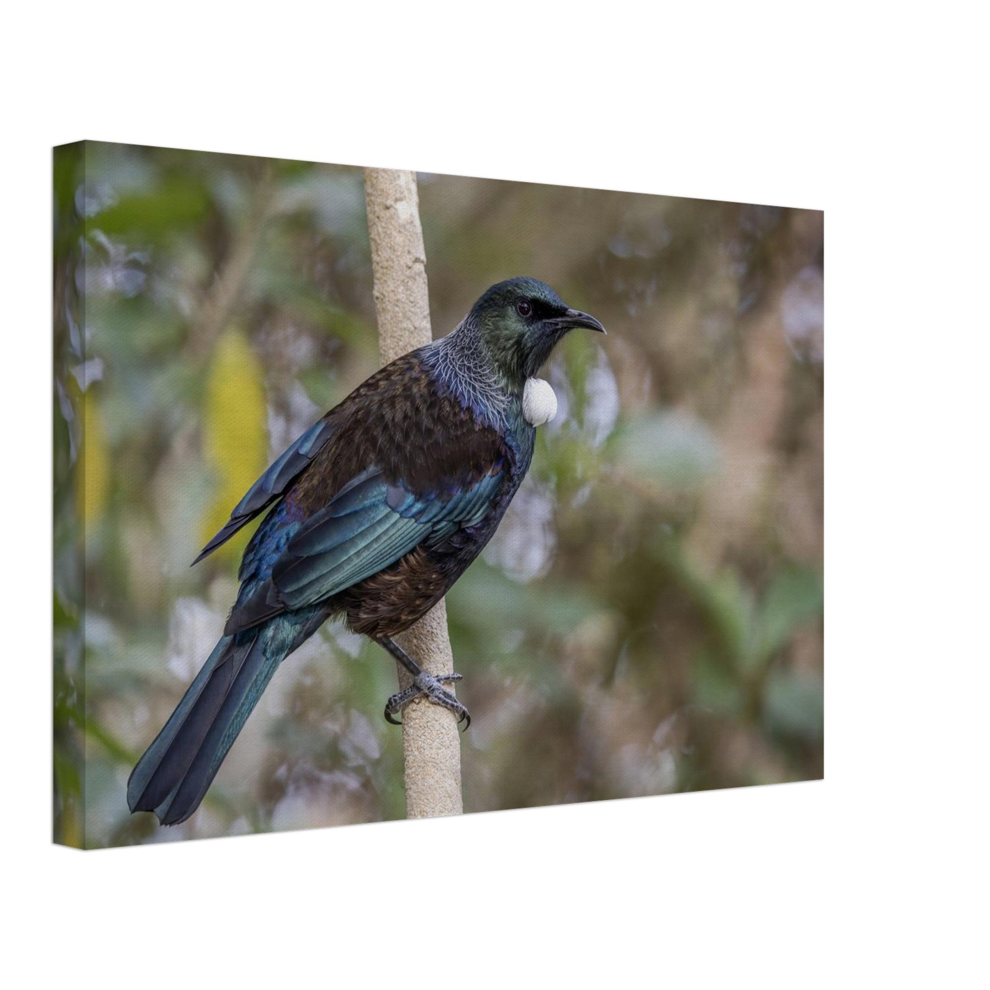 e1d9cf43-7c9f-4580-b343-3d573cfb8173