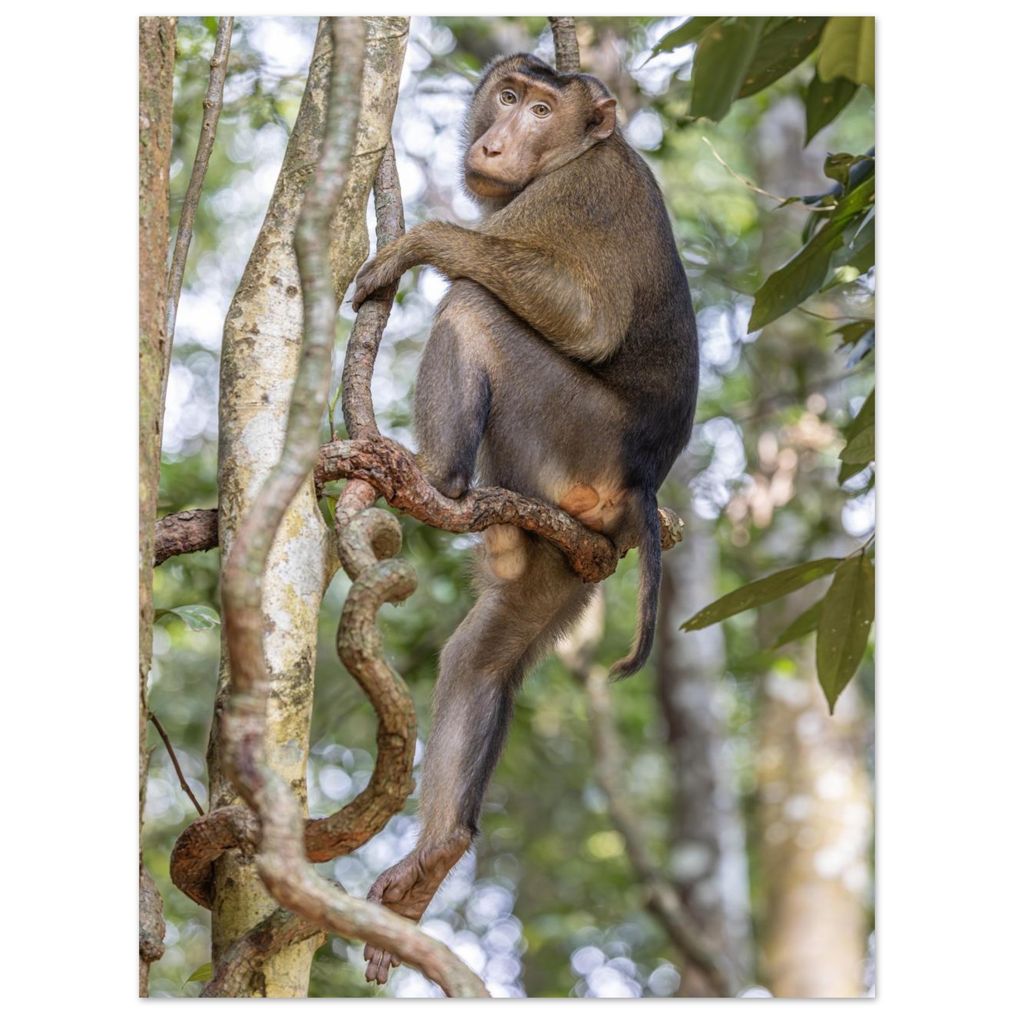 e46378d7-23b0-4d4d-8a1b-f2027a26c72a